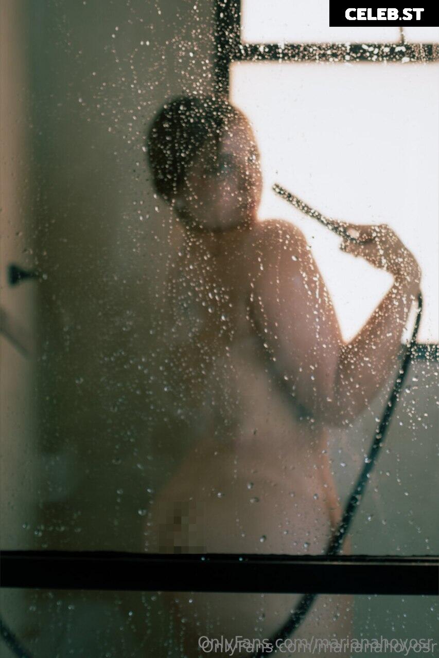 Marianahoyosr Image 10608079