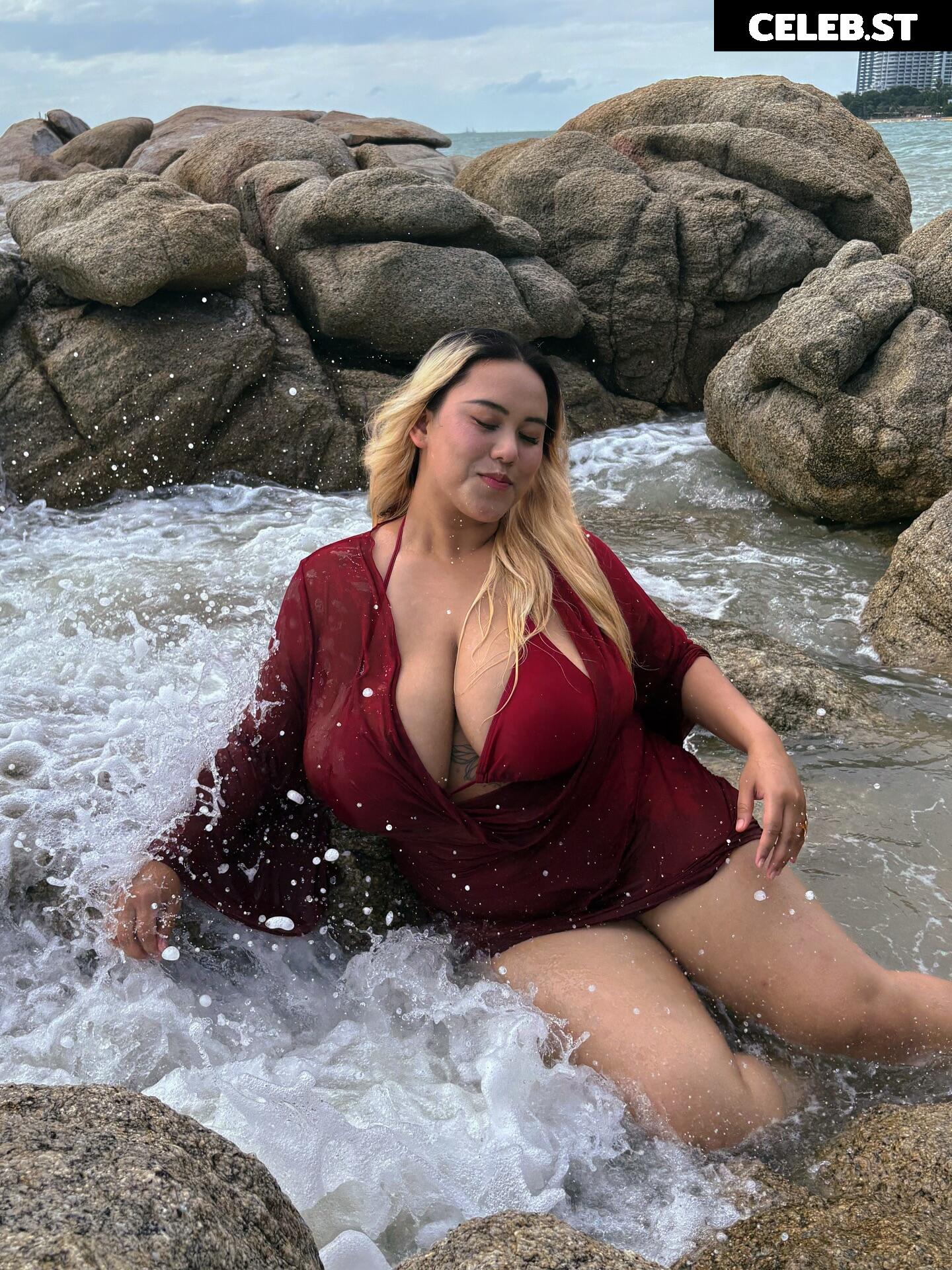 fhong_fionax / Chayada Dulyasatien (Busty Thai Model) Image 10608334