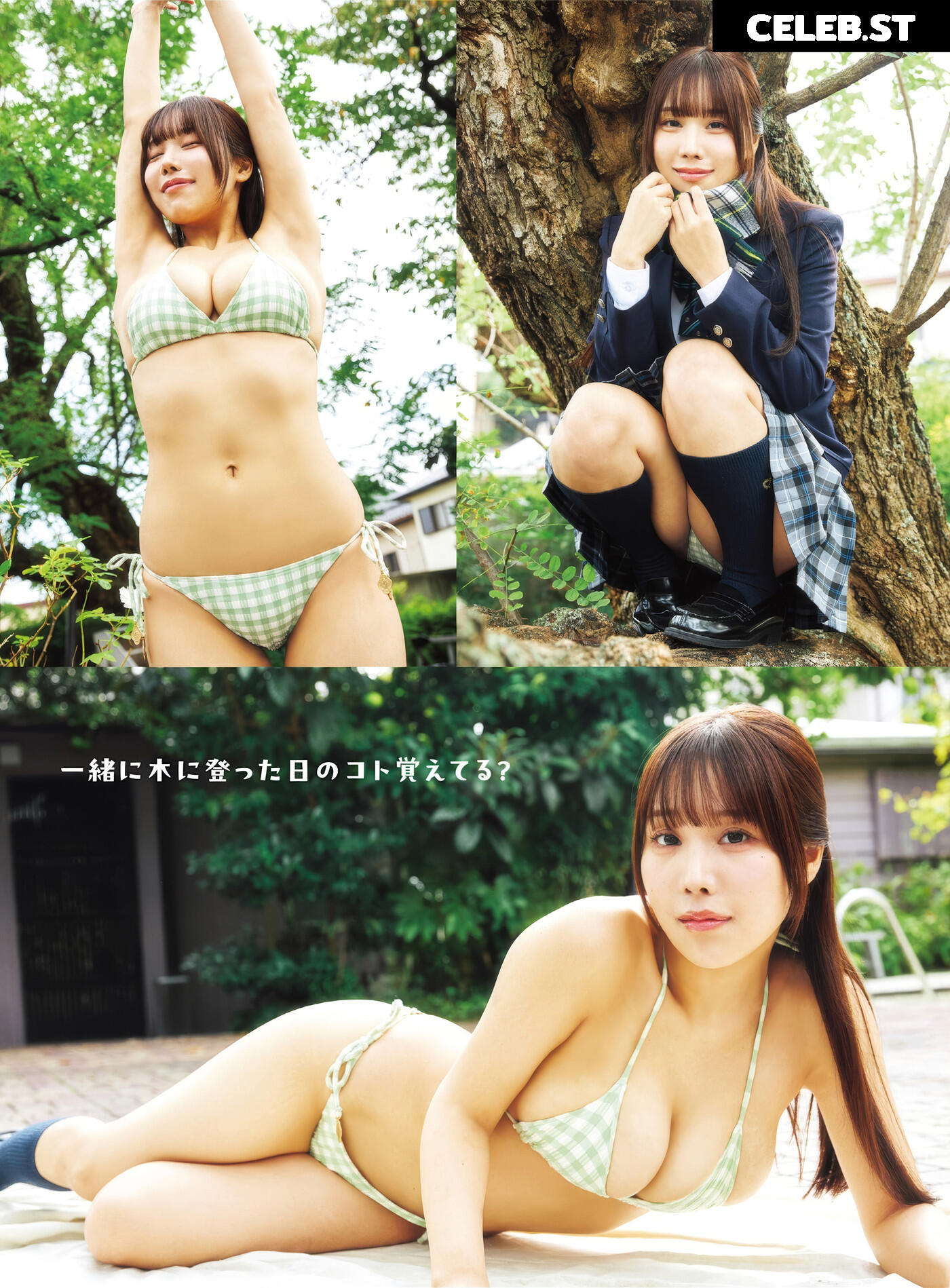 Towa Rabbit / Momoki_0515 Image 10696936