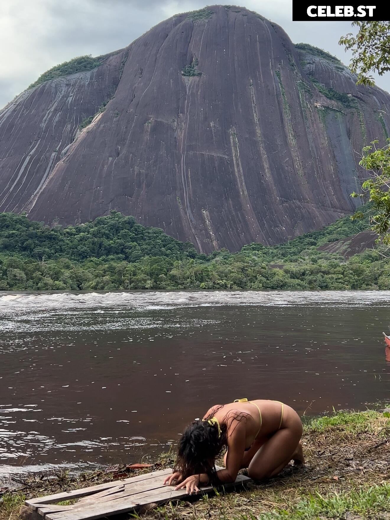 yogi.cath Image 10688596