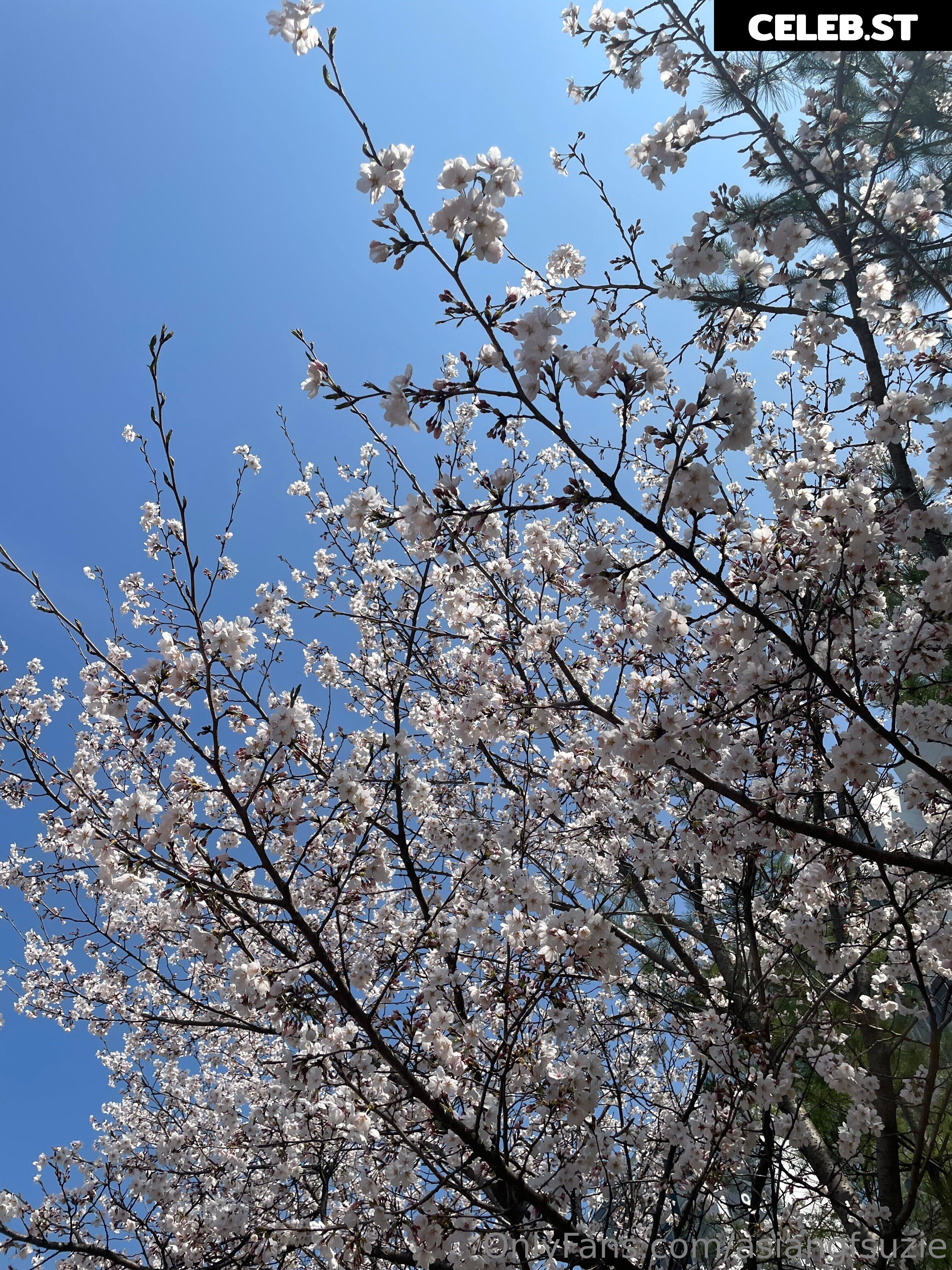 georgettexx BGHK20 Image 10540500