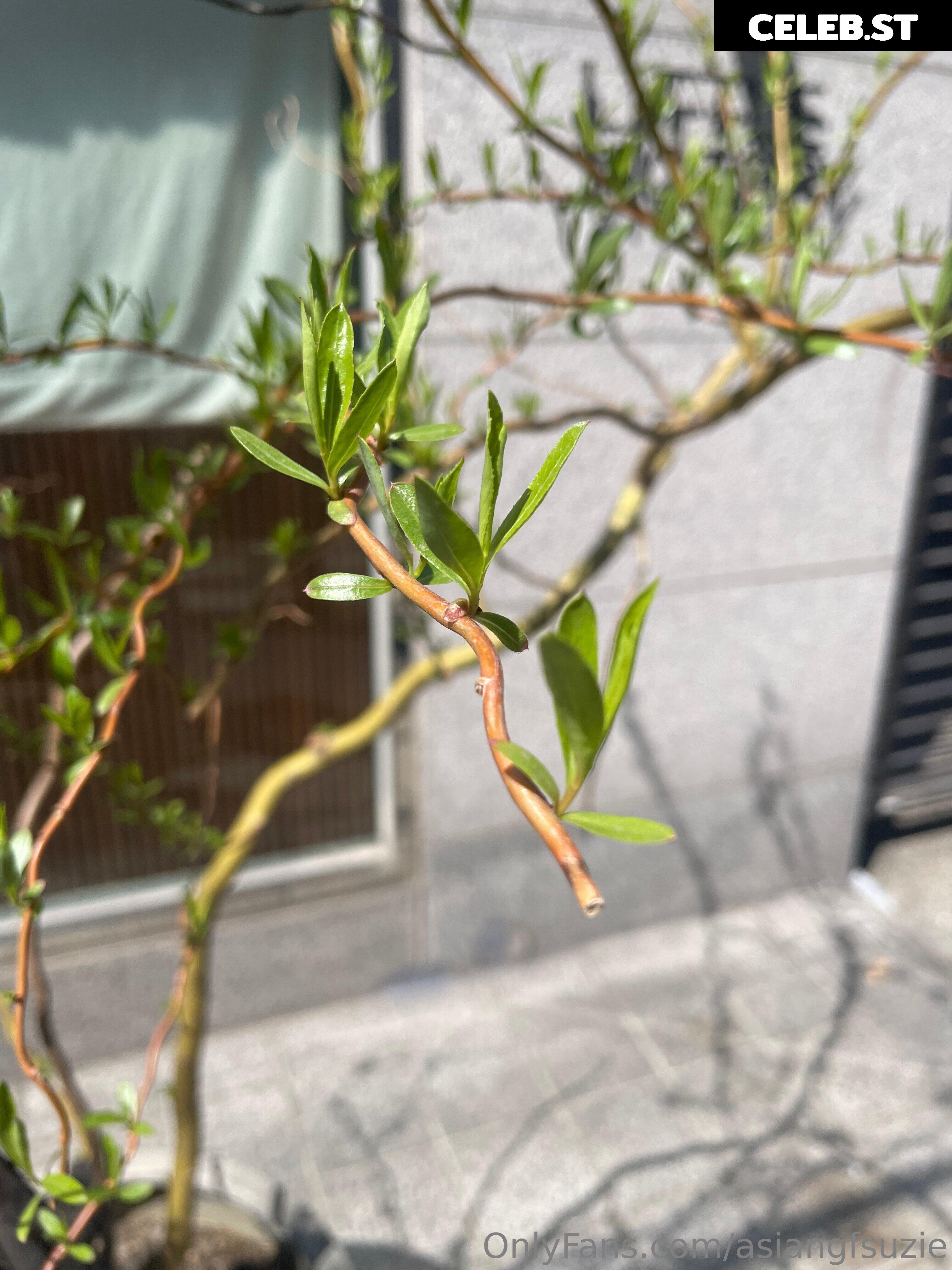 georgettexx BGHK20 Image 10540509