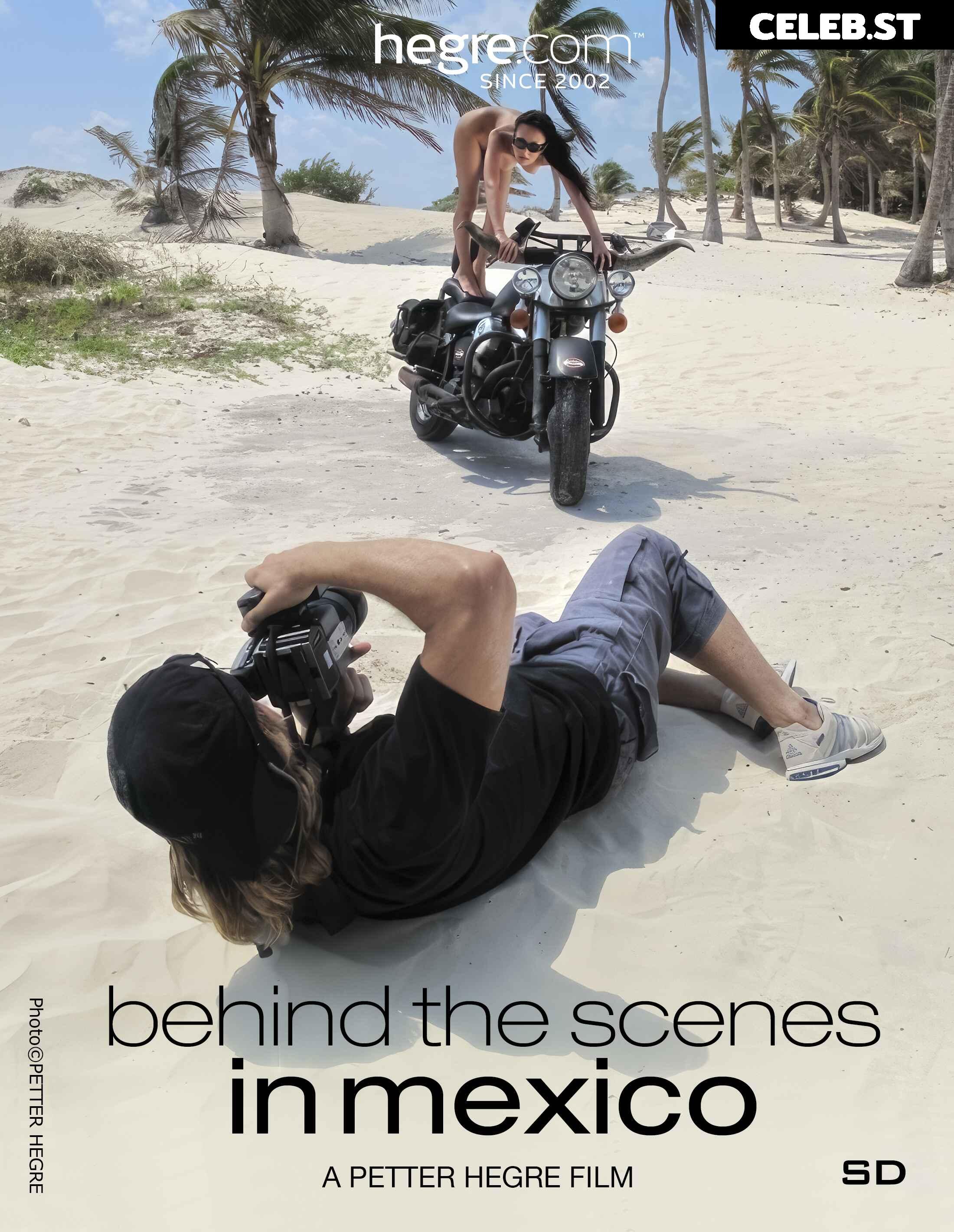 Budai Brigi Image 10529158