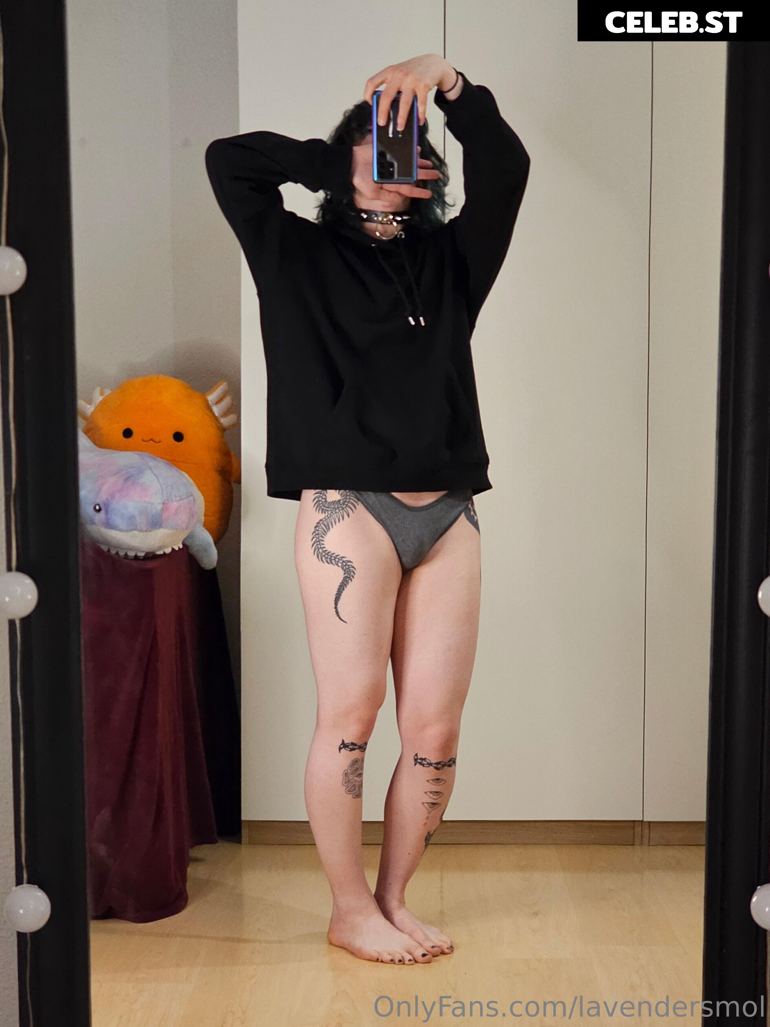 Lavendersmol Image 10533807