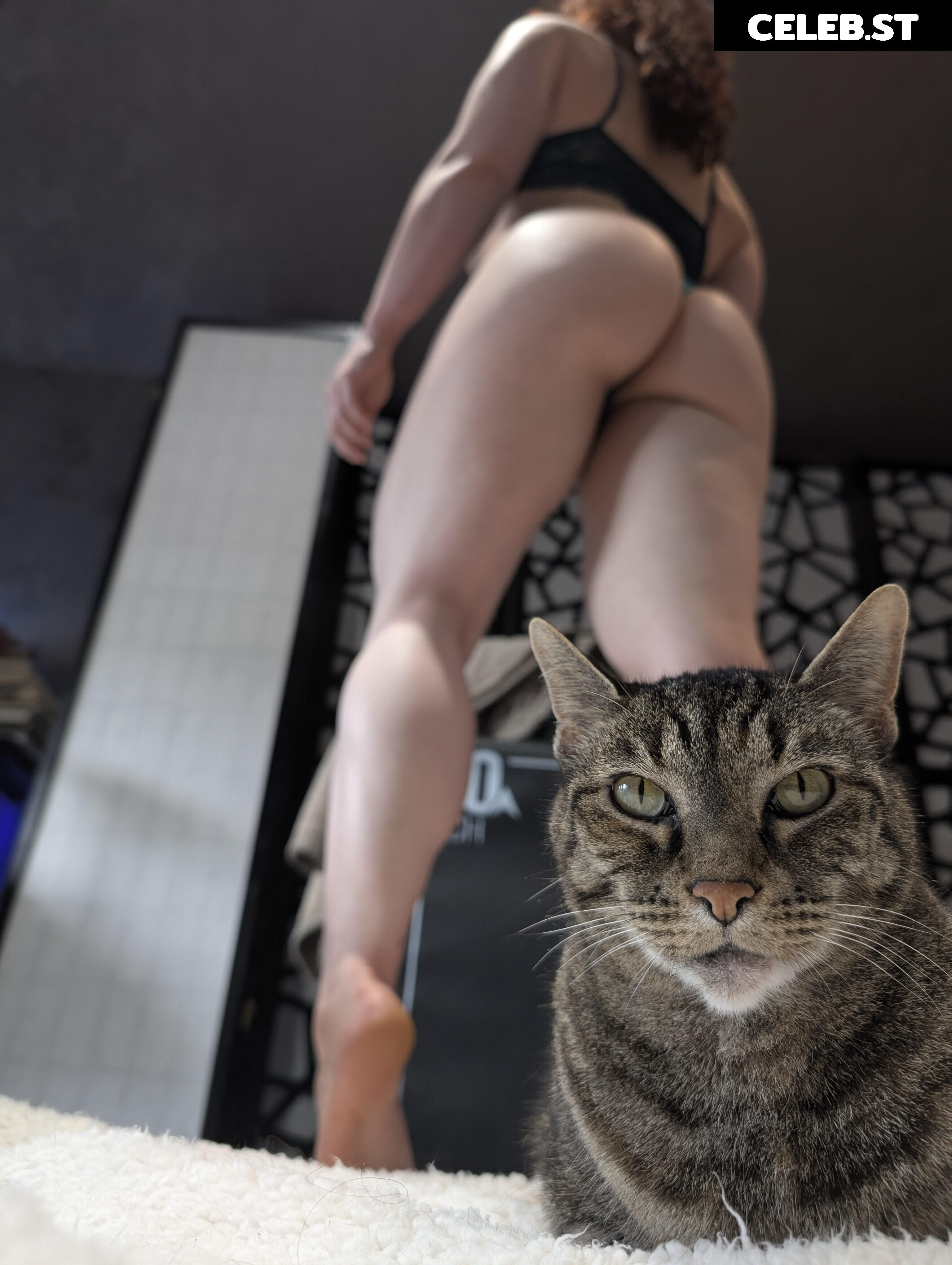 kitty_bit_games Image 10599470