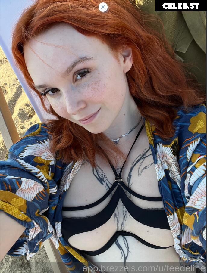 Feedeline Image 1045731