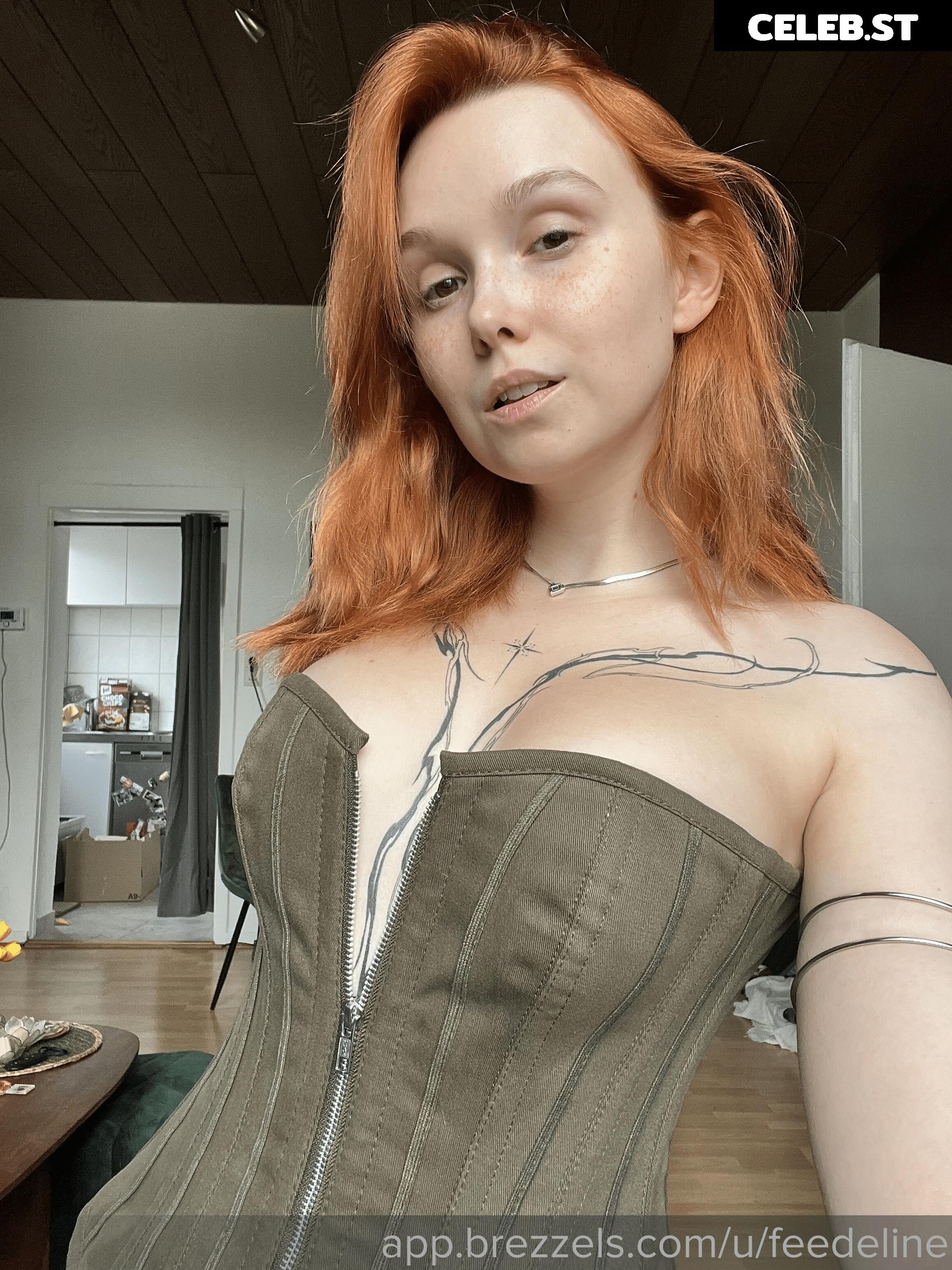 Feedeline Image 1046173
