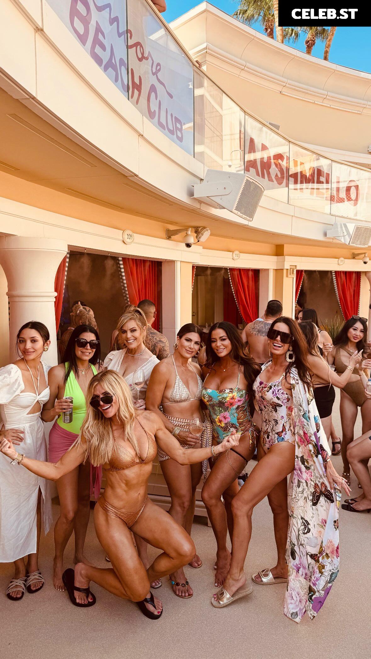 WWE Torrie Wilson Image 10311442