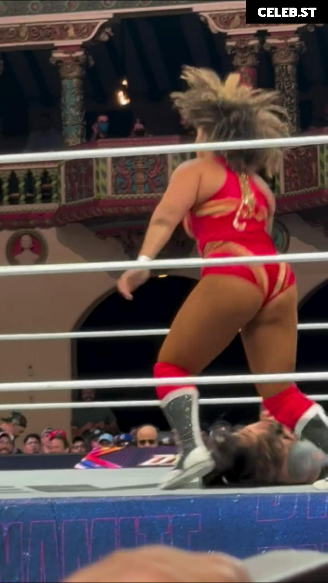 Women of Professional Wrestling Image 10311124