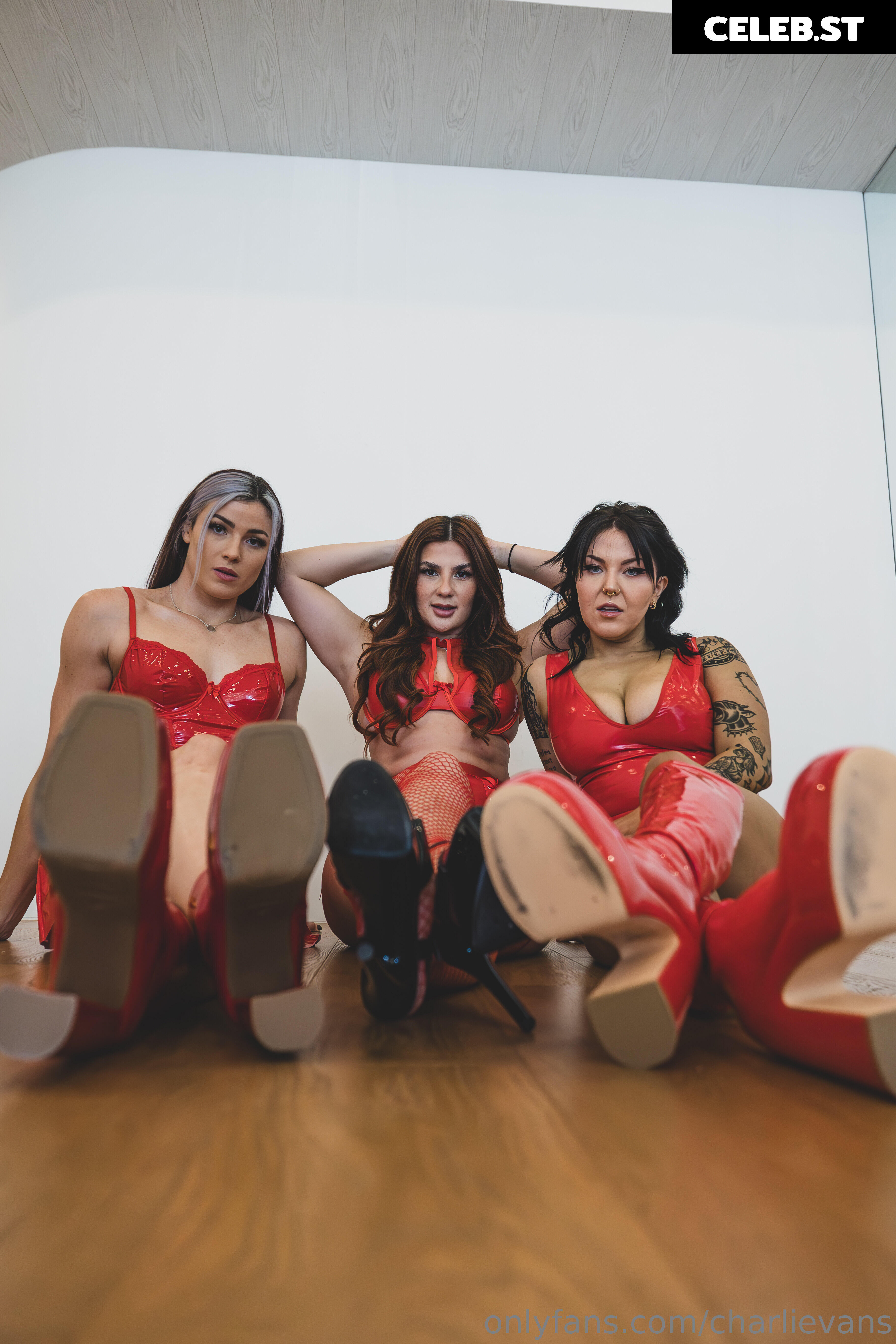 Women of Professional Wrestling Image 10311110