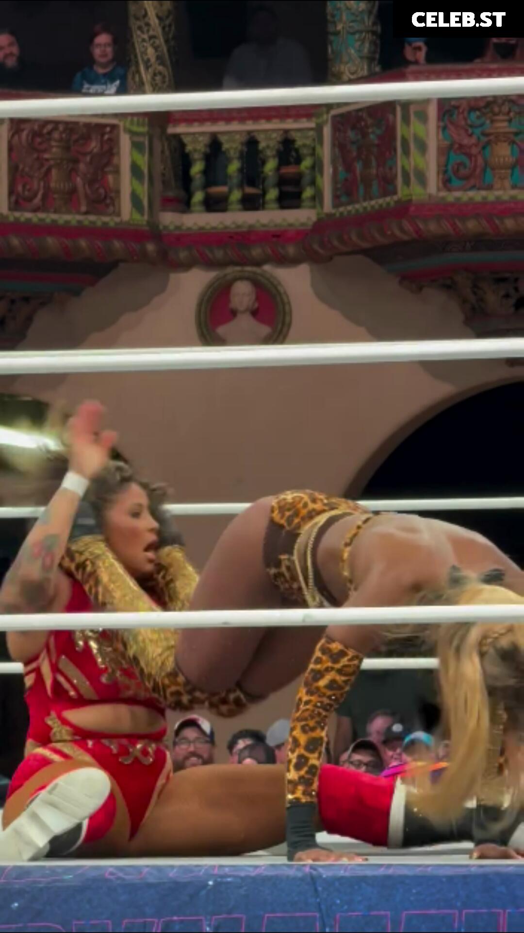 Women of Professional Wrestling Image 10311114