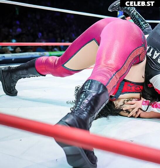 Women of Professional Wrestling Image 10311100