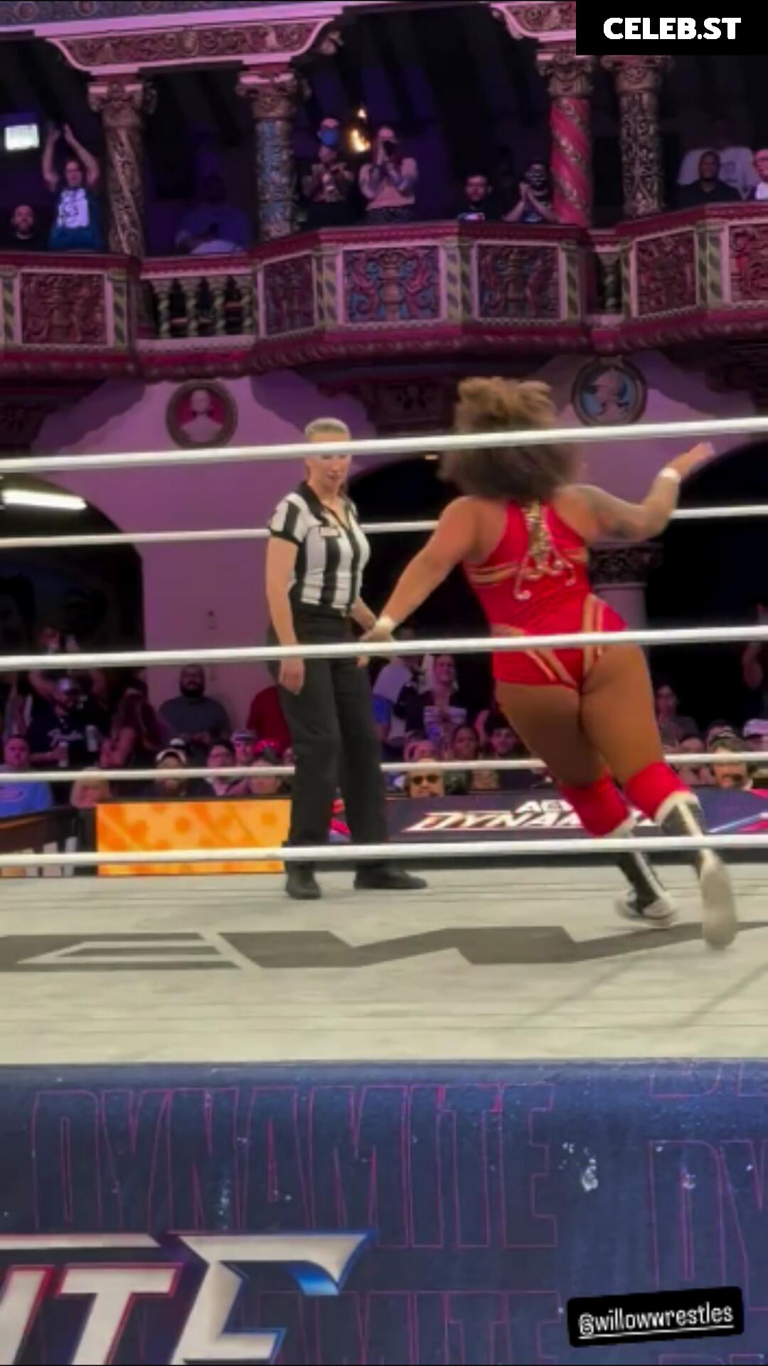 Women of Professional Wrestling Image 10311137
