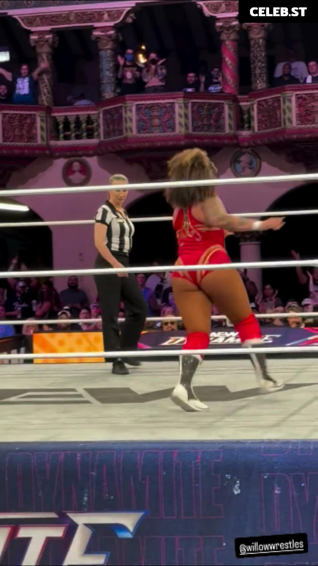 Women of Professional Wrestling Image 10311138