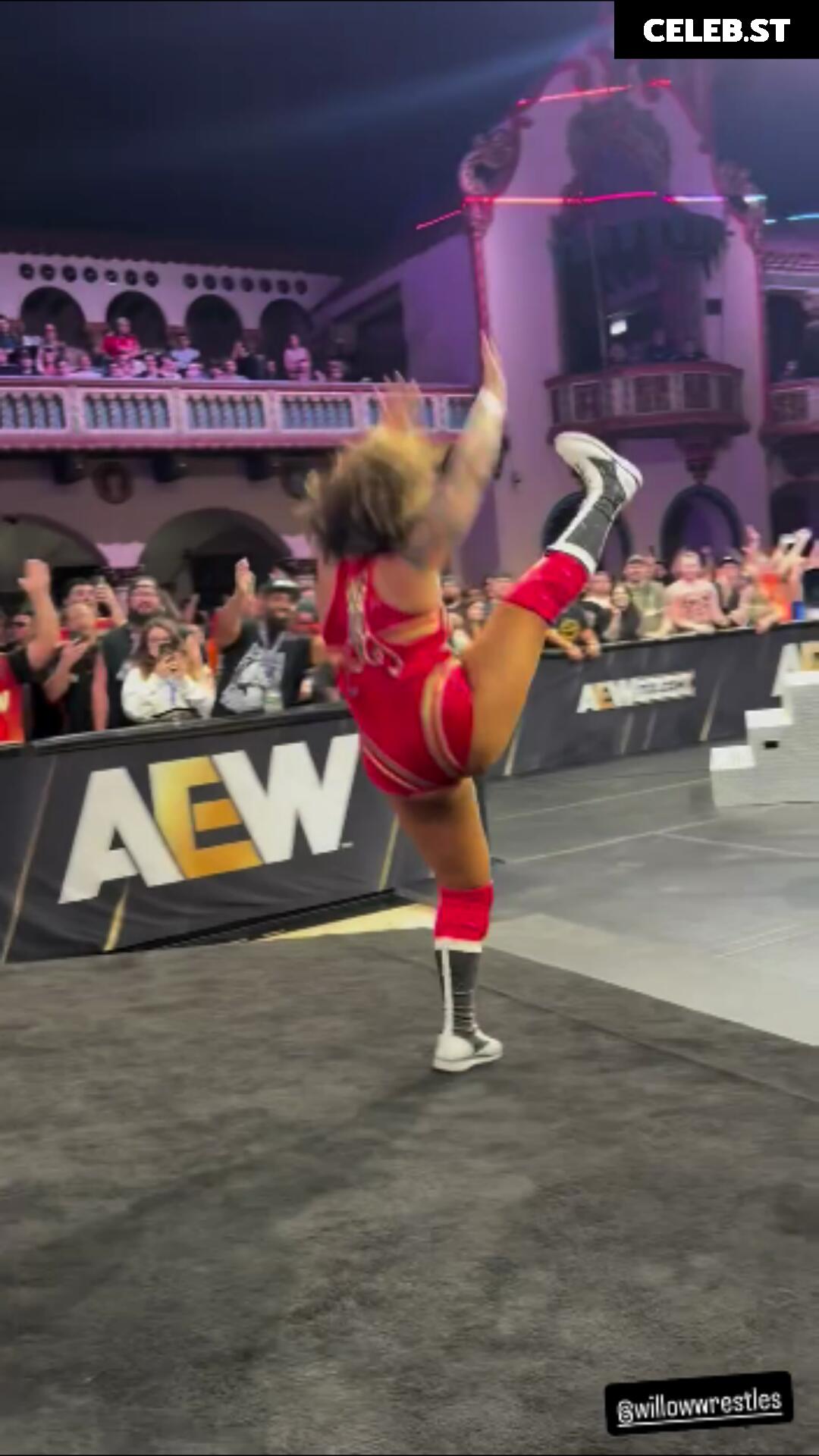Women of Professional Wrestling Image 10311143