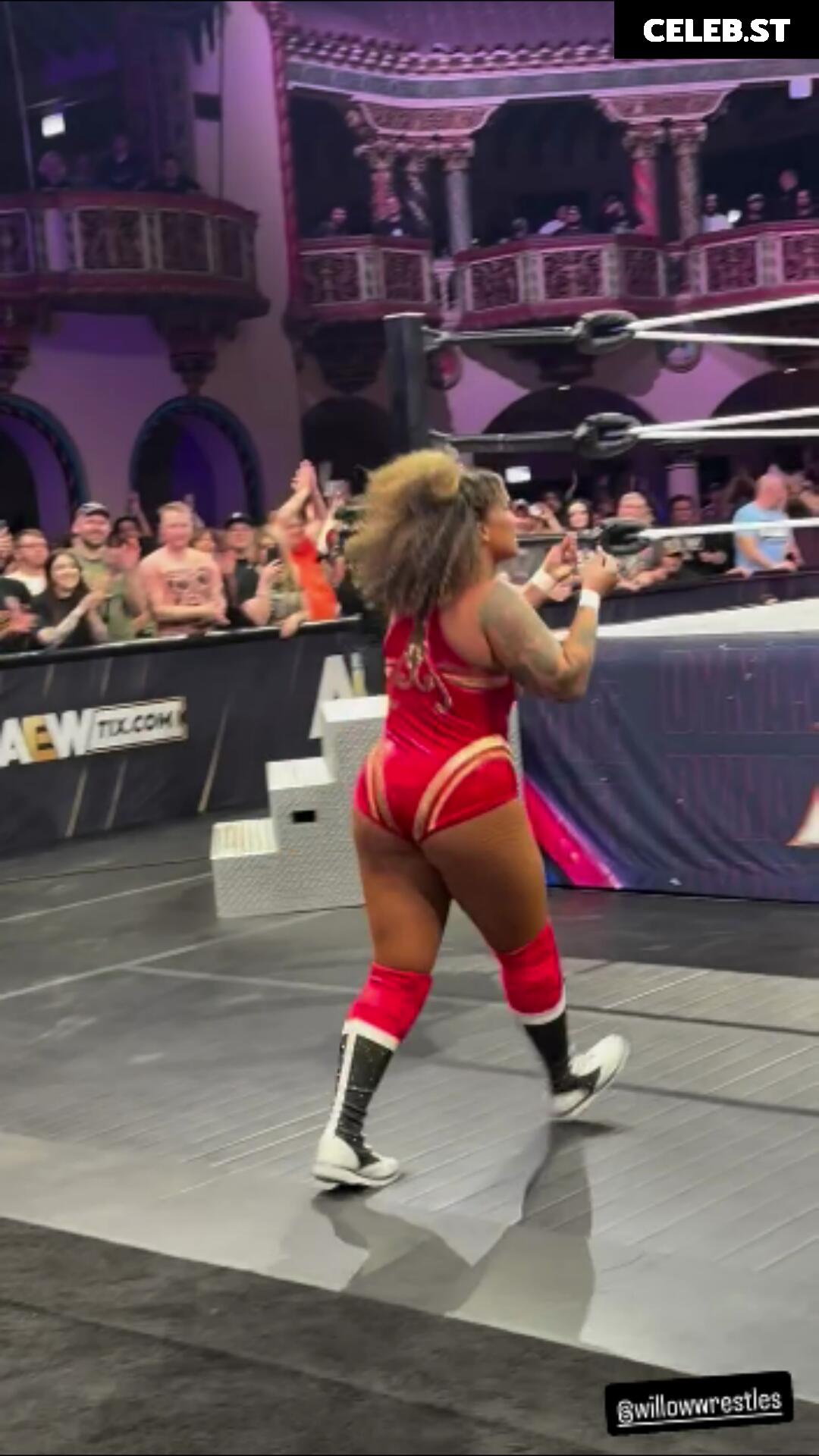Women of Professional Wrestling Image 10311141