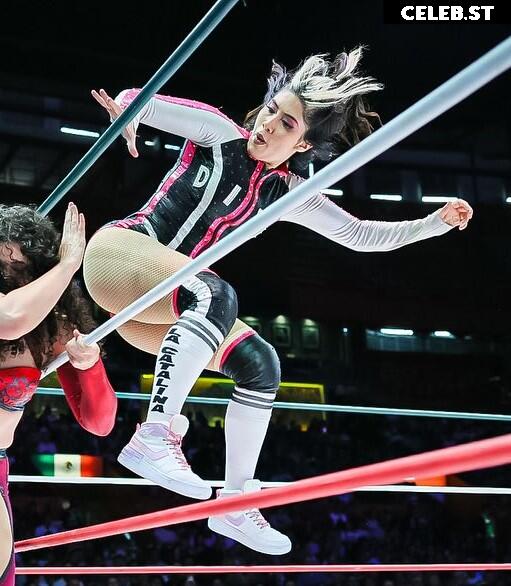 Women of Professional Wrestling Image 10311084