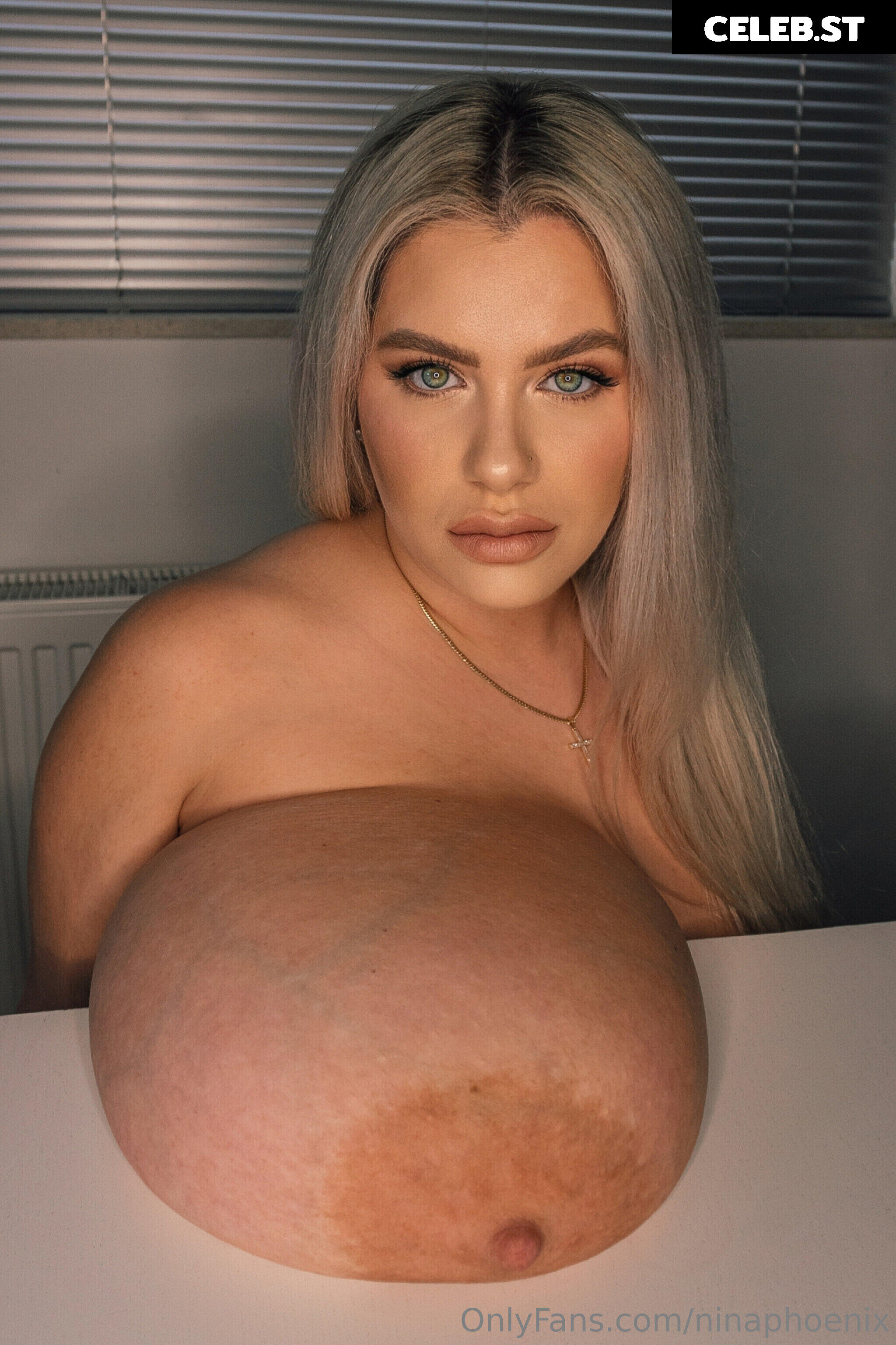 NinaPhoenix / Tamara Dido Image 10319294