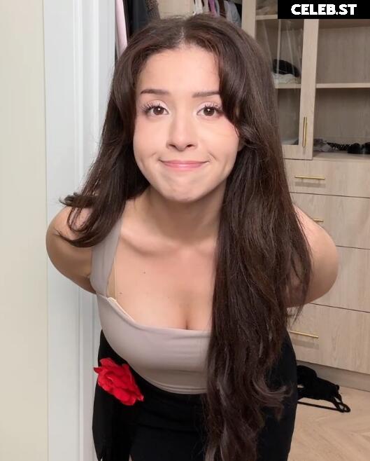 Pokimane Image 1032918