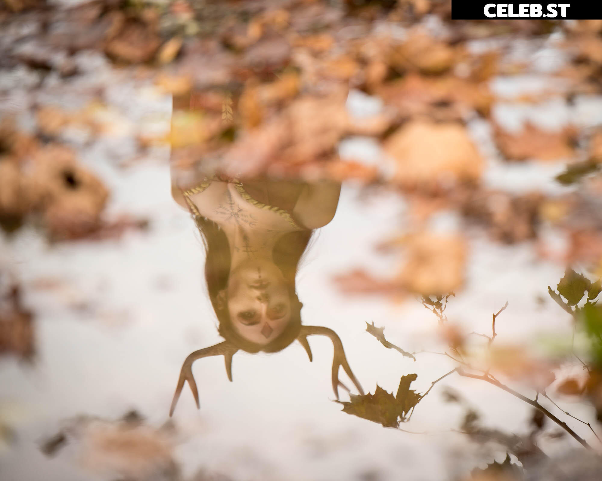 Jess of the Shire Image 10332185