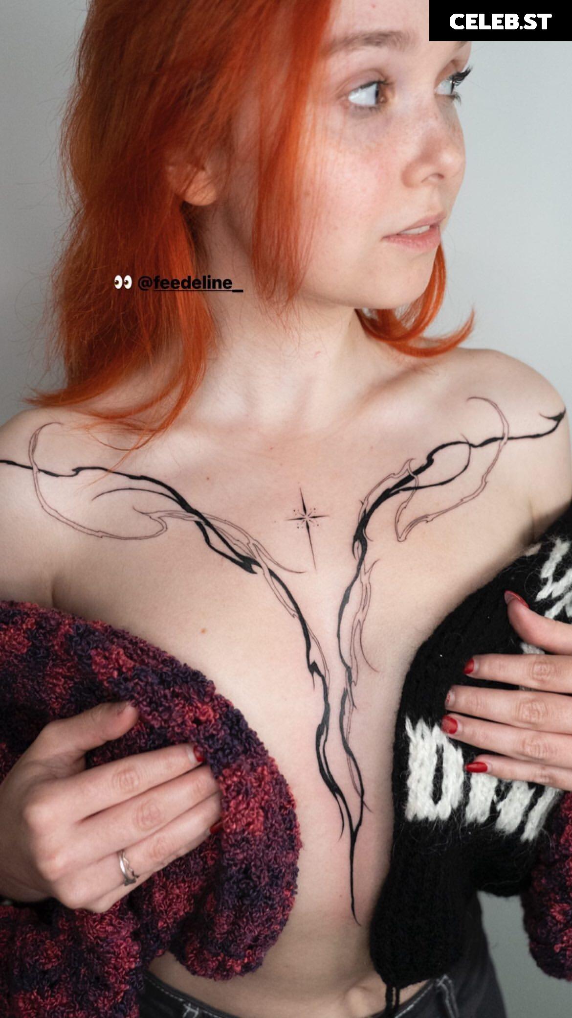 Feedeline Image 1027495