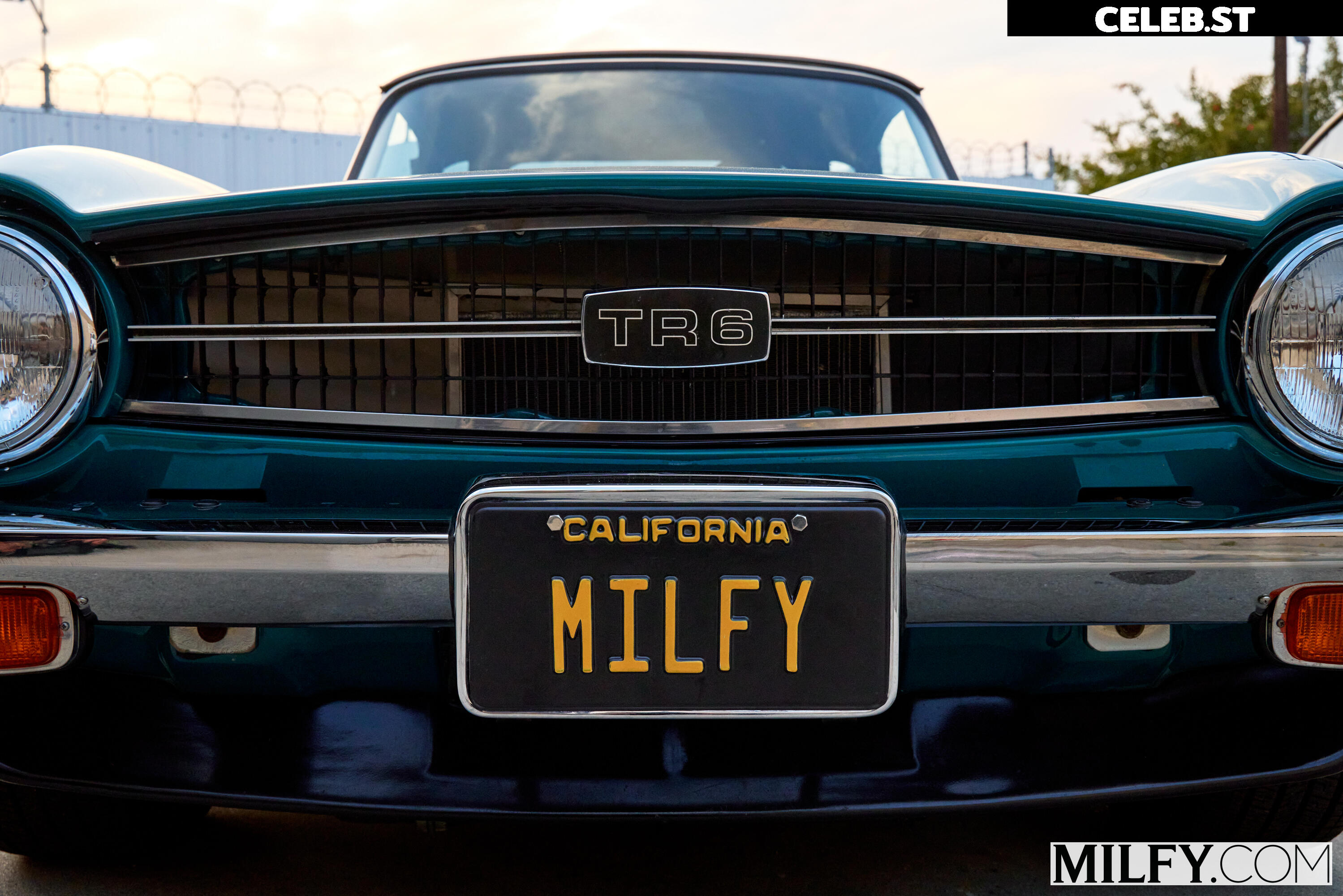 Aderes Quin Image 10228945