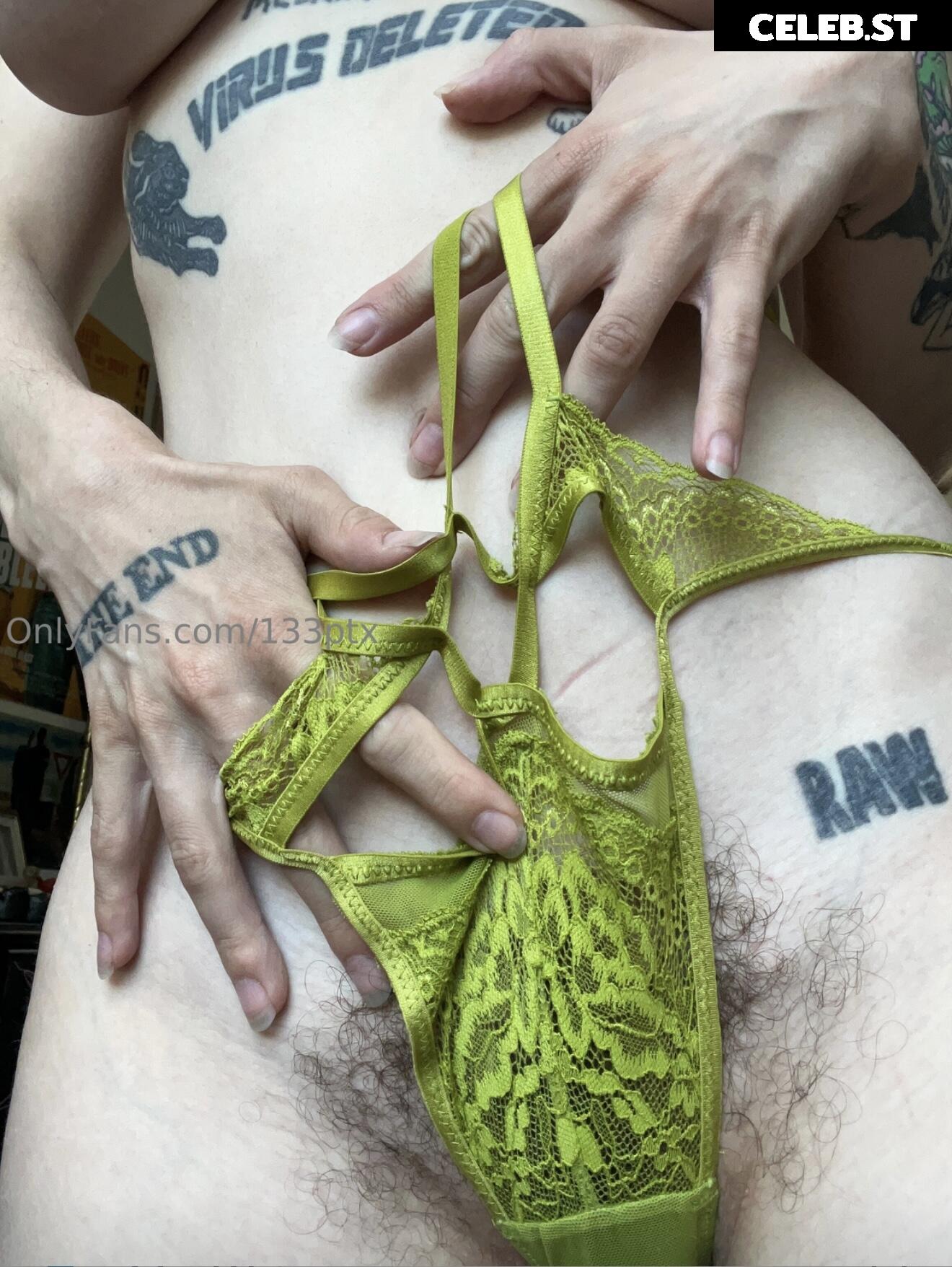 13ptx Image 10232314