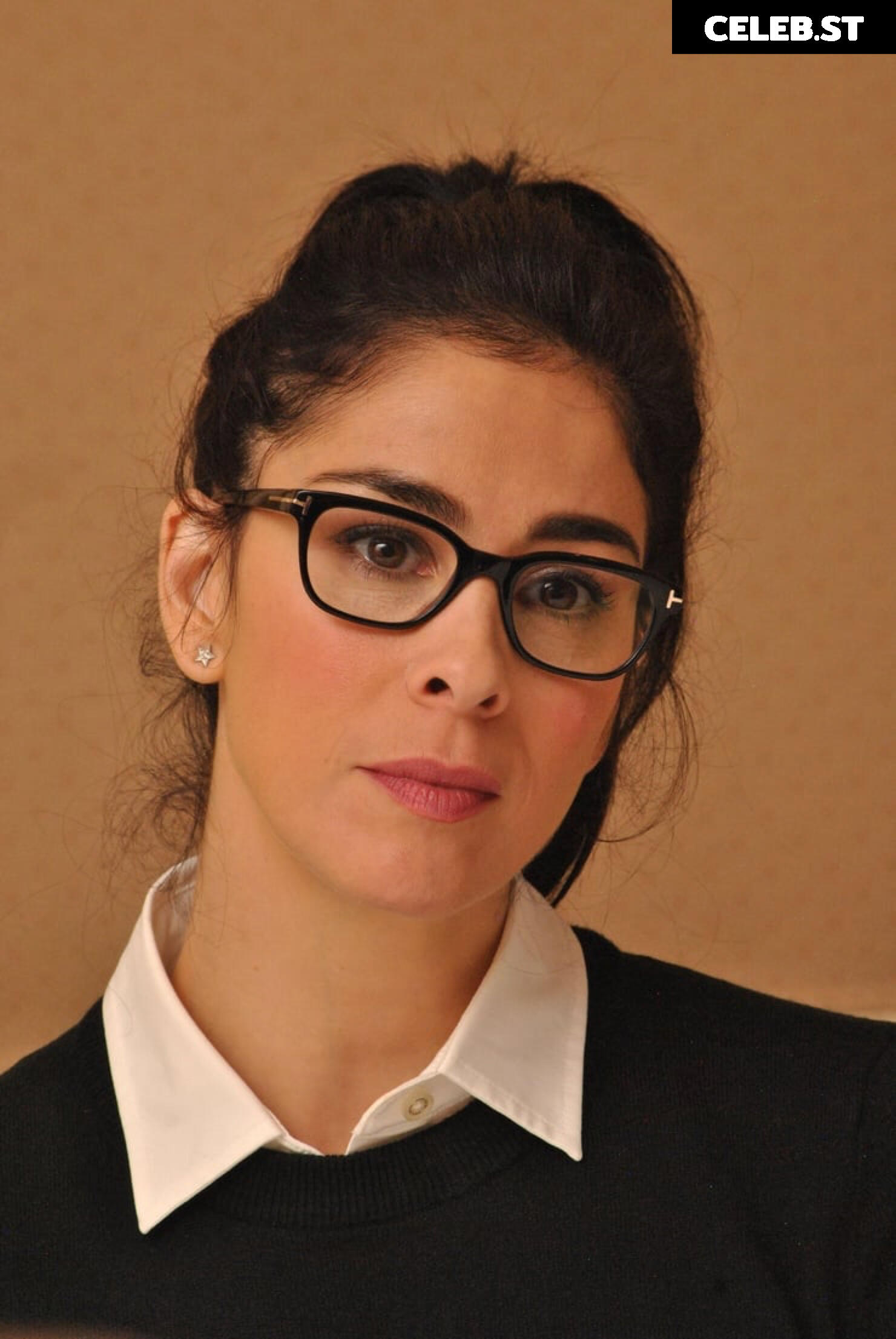 Sarah Silverman Image 10165614