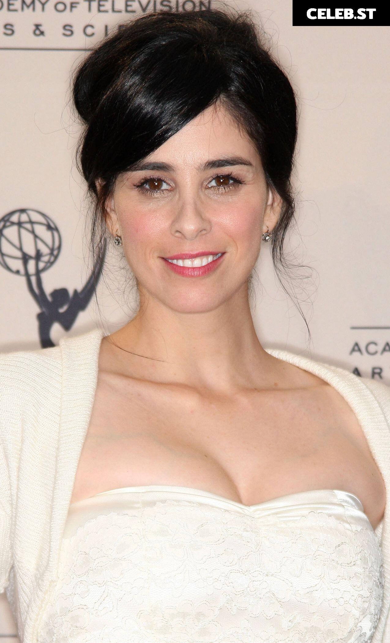 Sarah Silverman Image 10165647