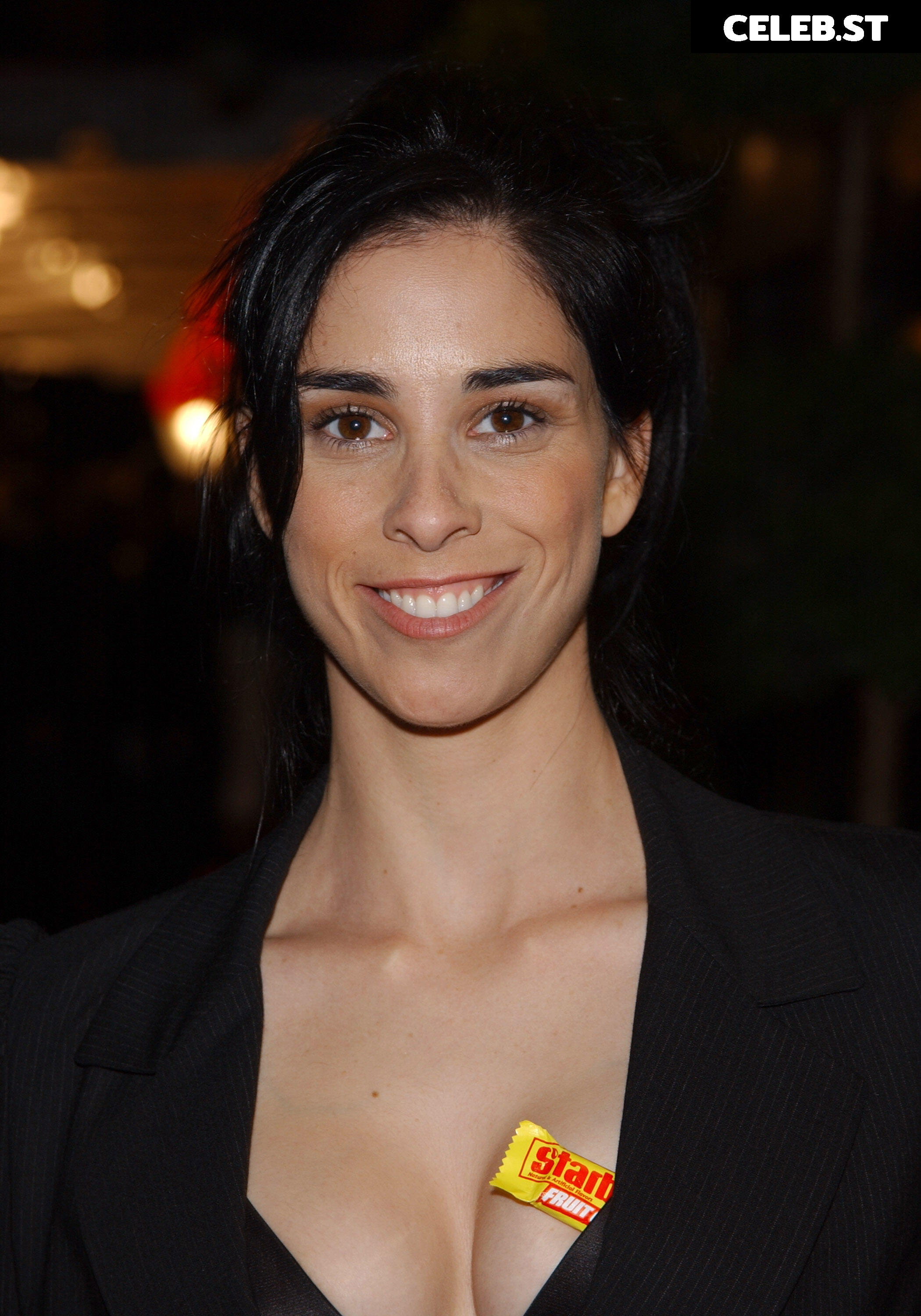 Sarah Silverman Image 10165646