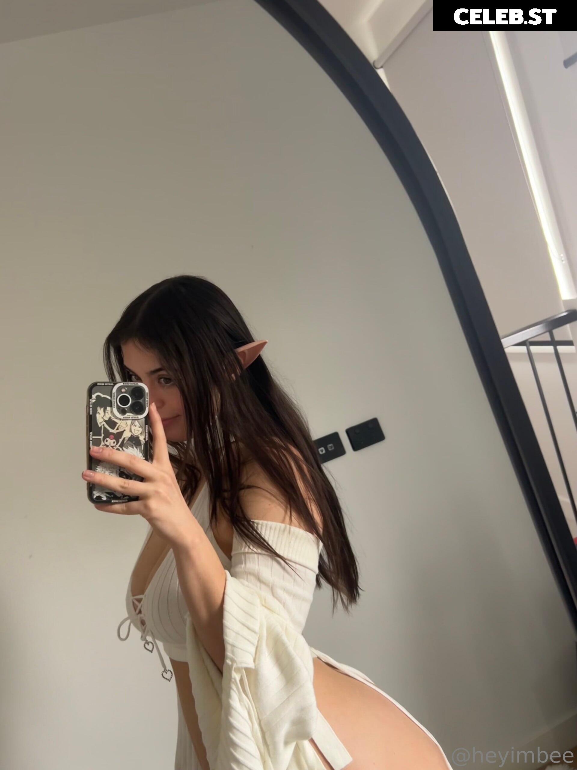 heyimbee Image 1017147