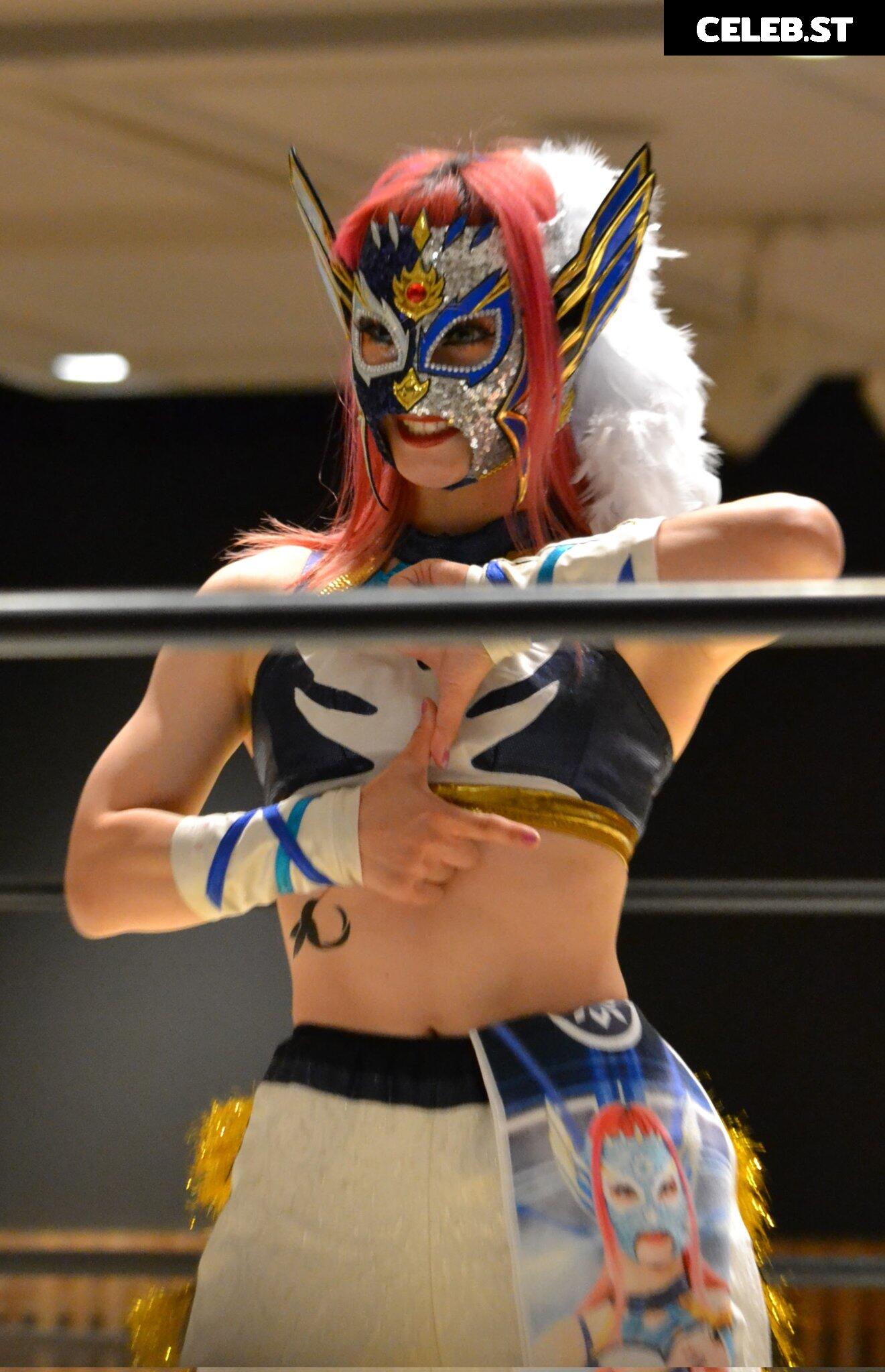 Women of Joshi Puroresu Image 10147563