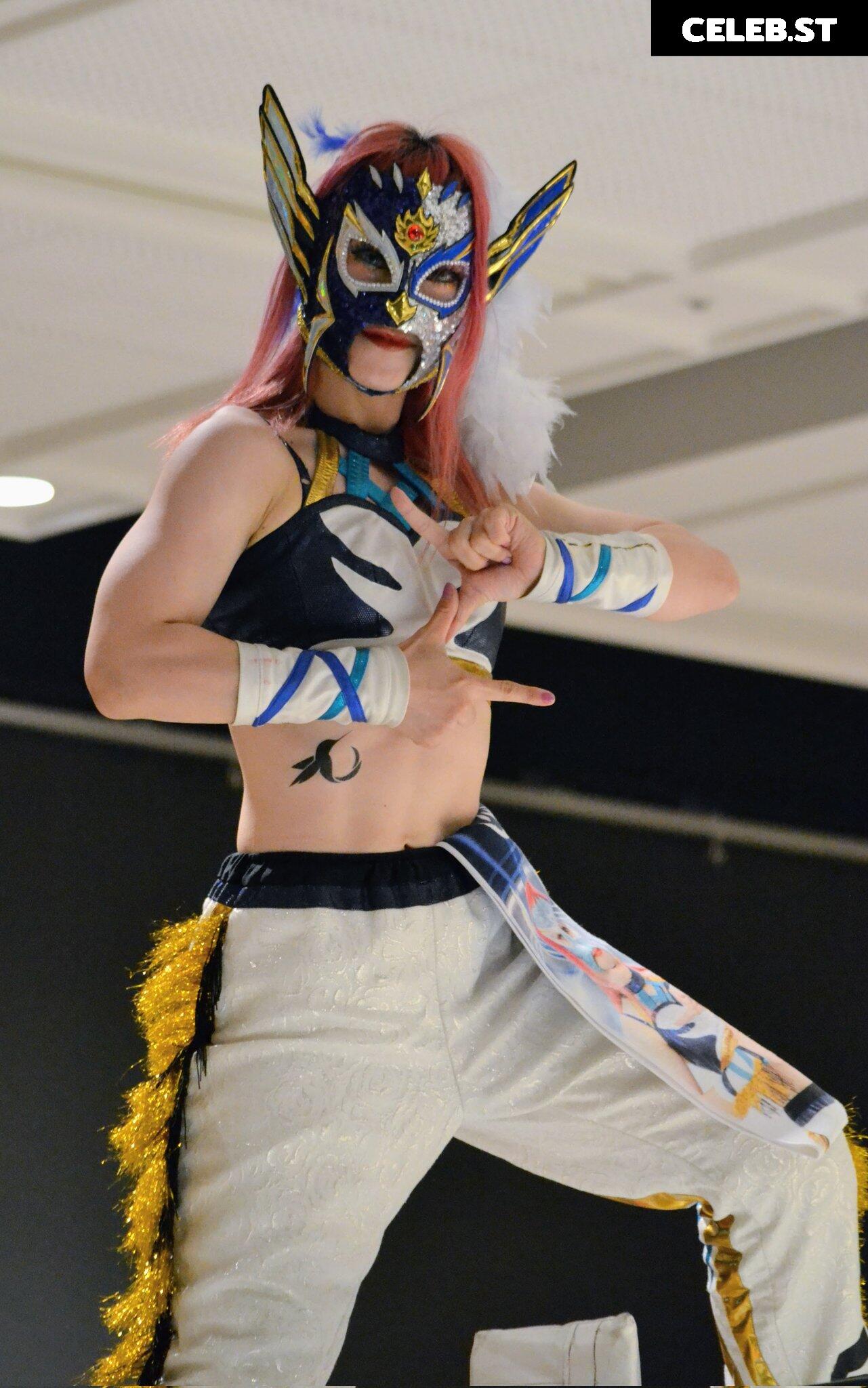 Women of Joshi Puroresu Image 10147562