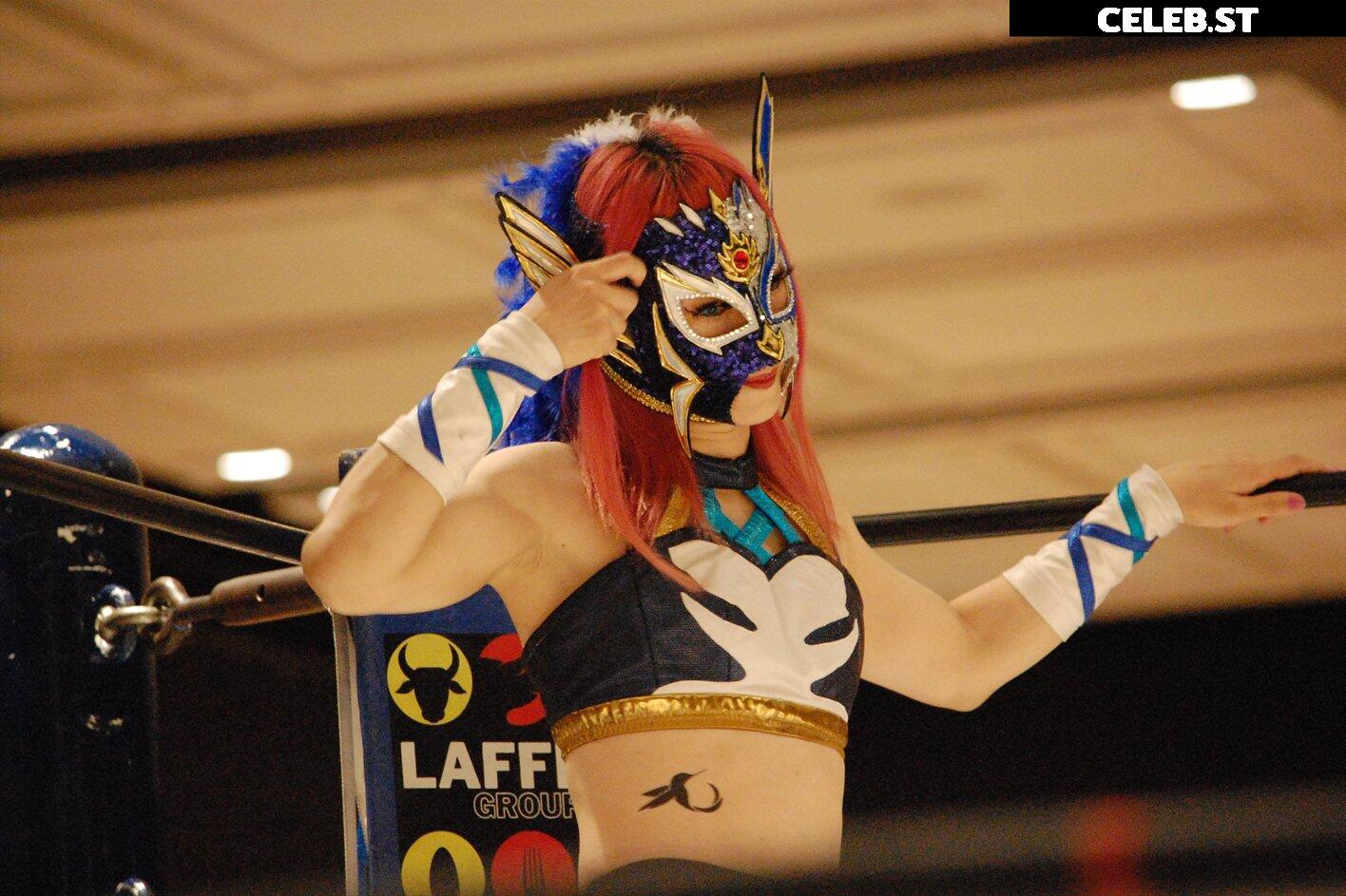 Women of Joshi Puroresu Image 10147565