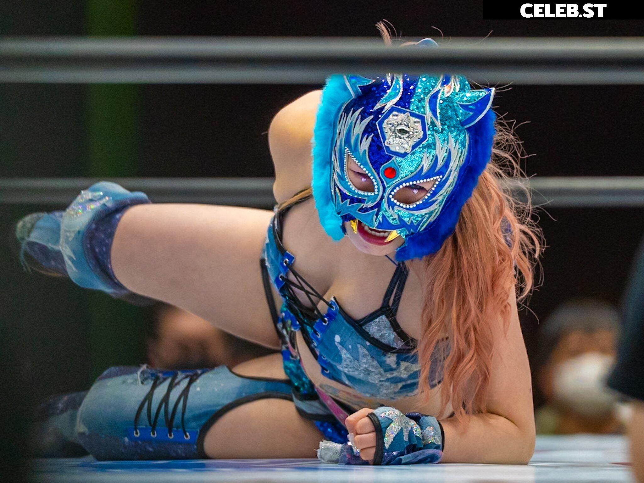 Women of Joshi Puroresu Image 10147542