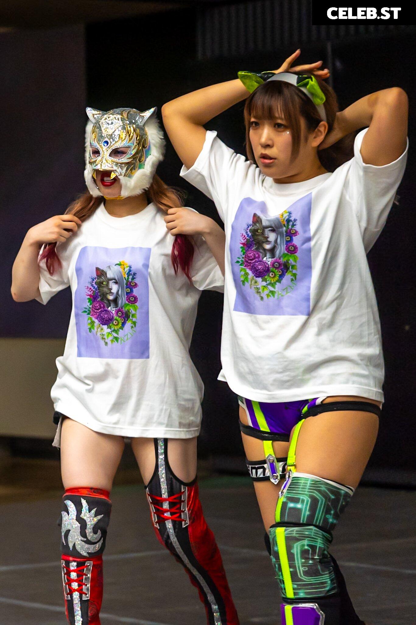 Women of Joshi Puroresu Image 10147545