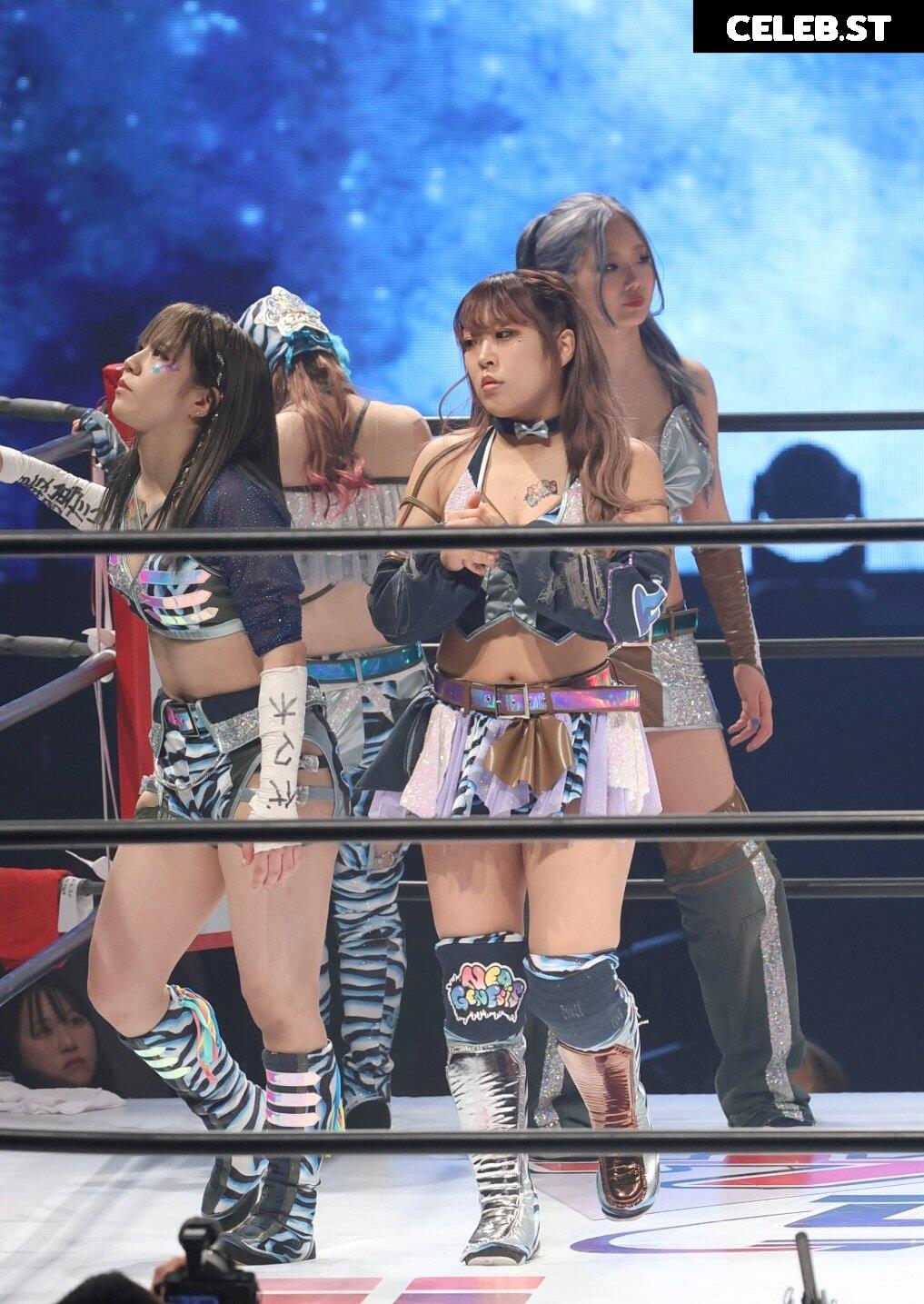 Women of Joshi Puroresu Image 10147320