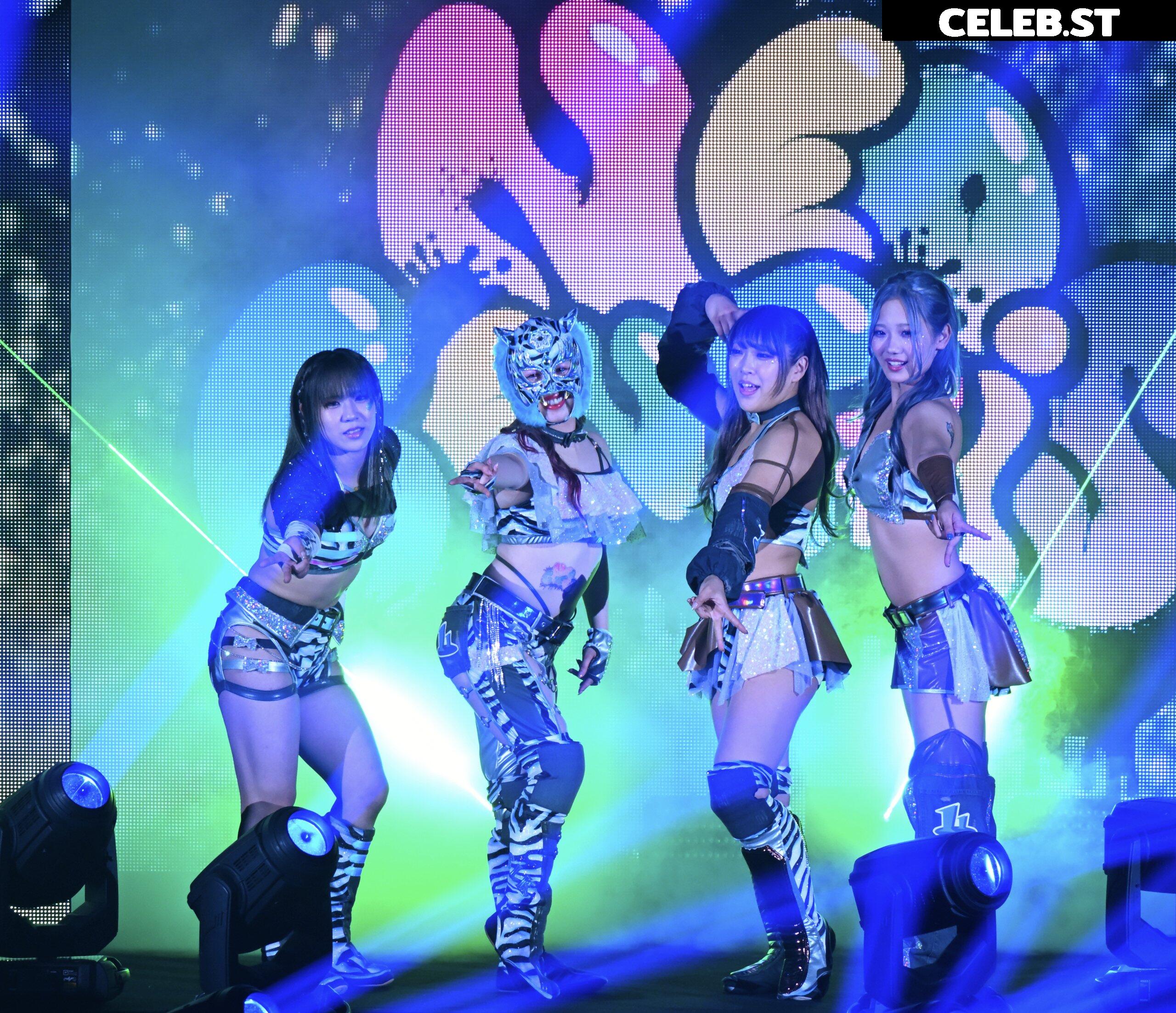 Women of Joshi Puroresu Image 10147329