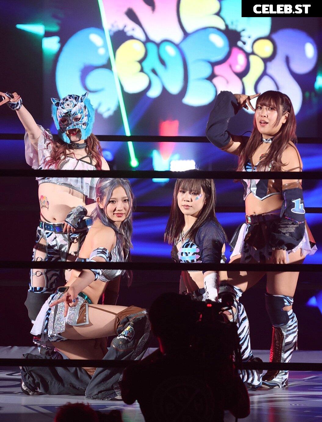 Women of Joshi Puroresu Image 10147319
