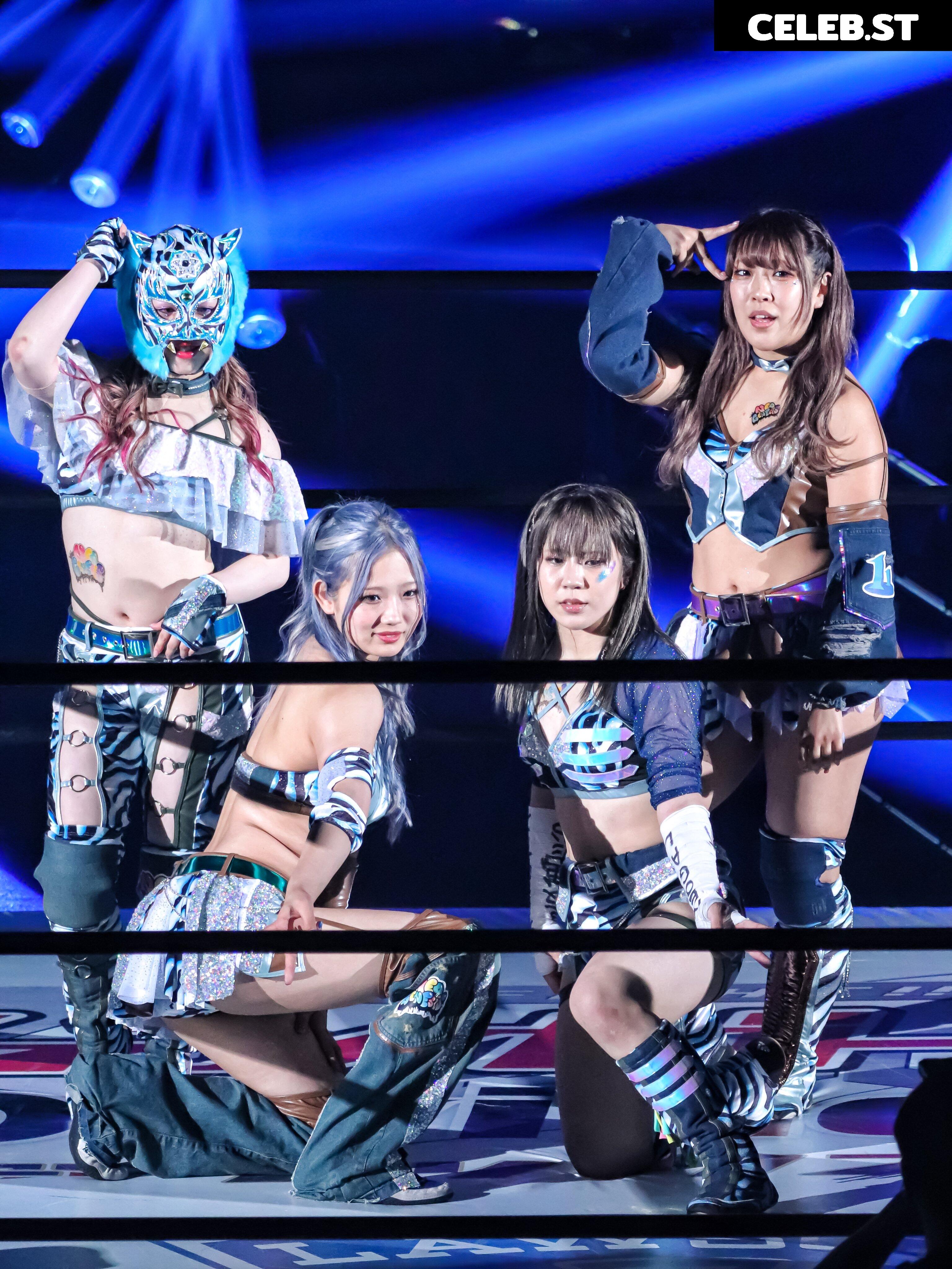 Women of Joshi Puroresu Image 10147332