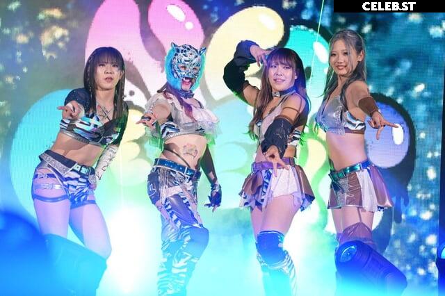 Women of Joshi Puroresu Image 10147339