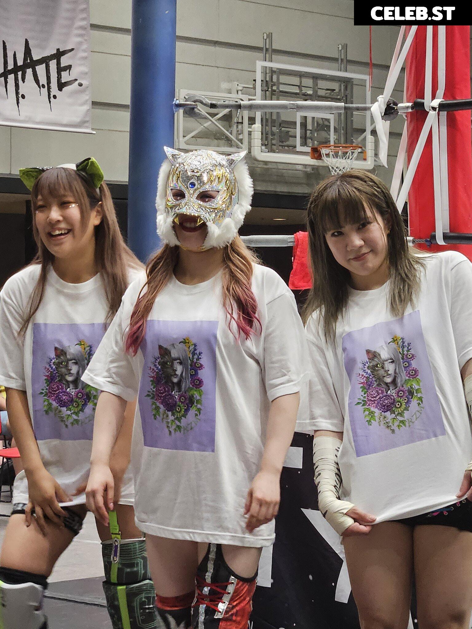Women of Joshi Puroresu Image 10147338