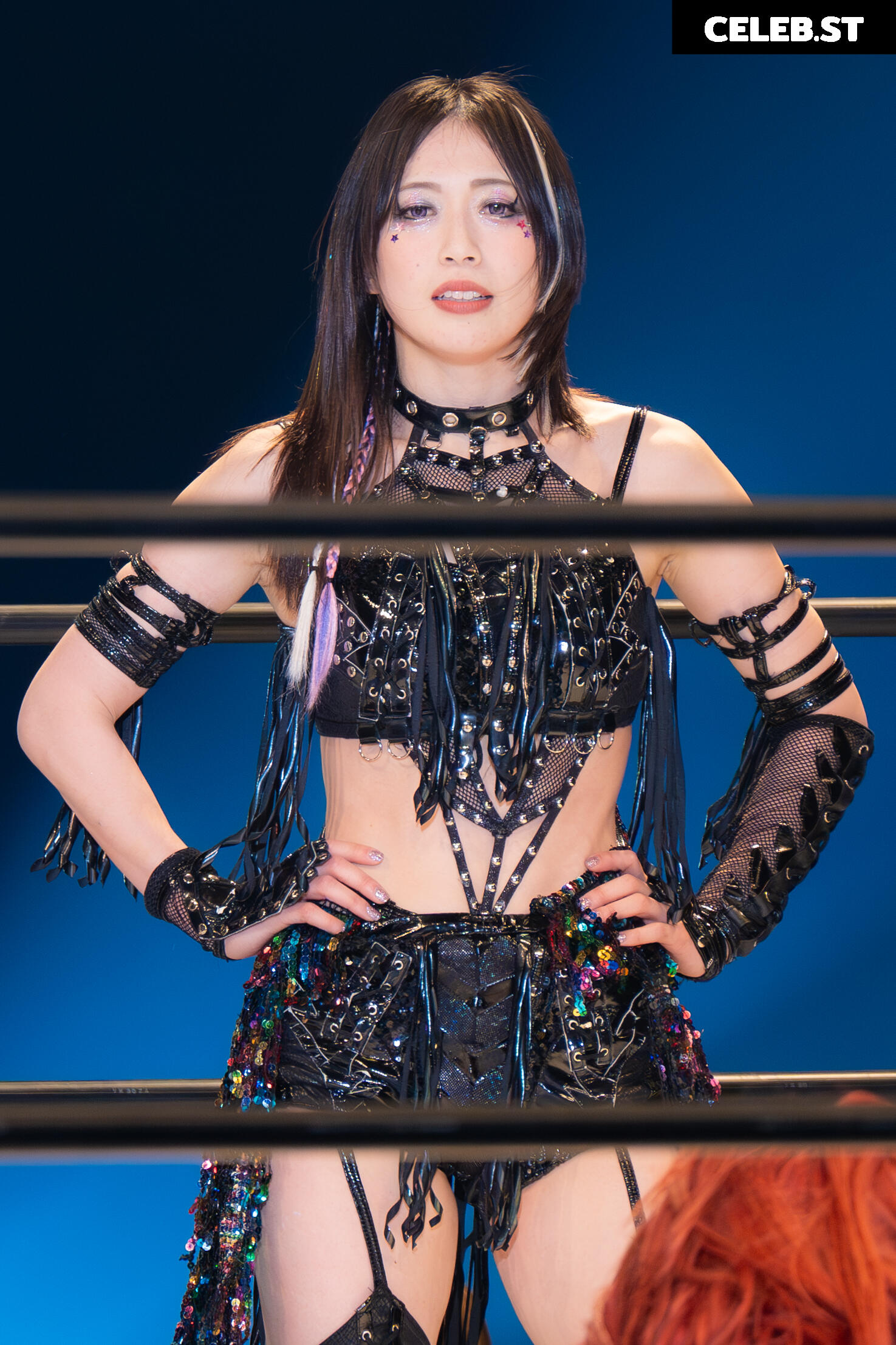 Women of Joshi Puroresu Image 10147364