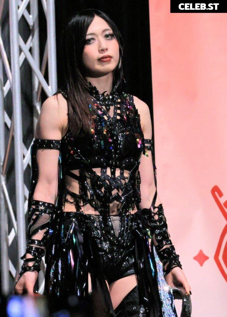 Women of Joshi Puroresu Image 10147351