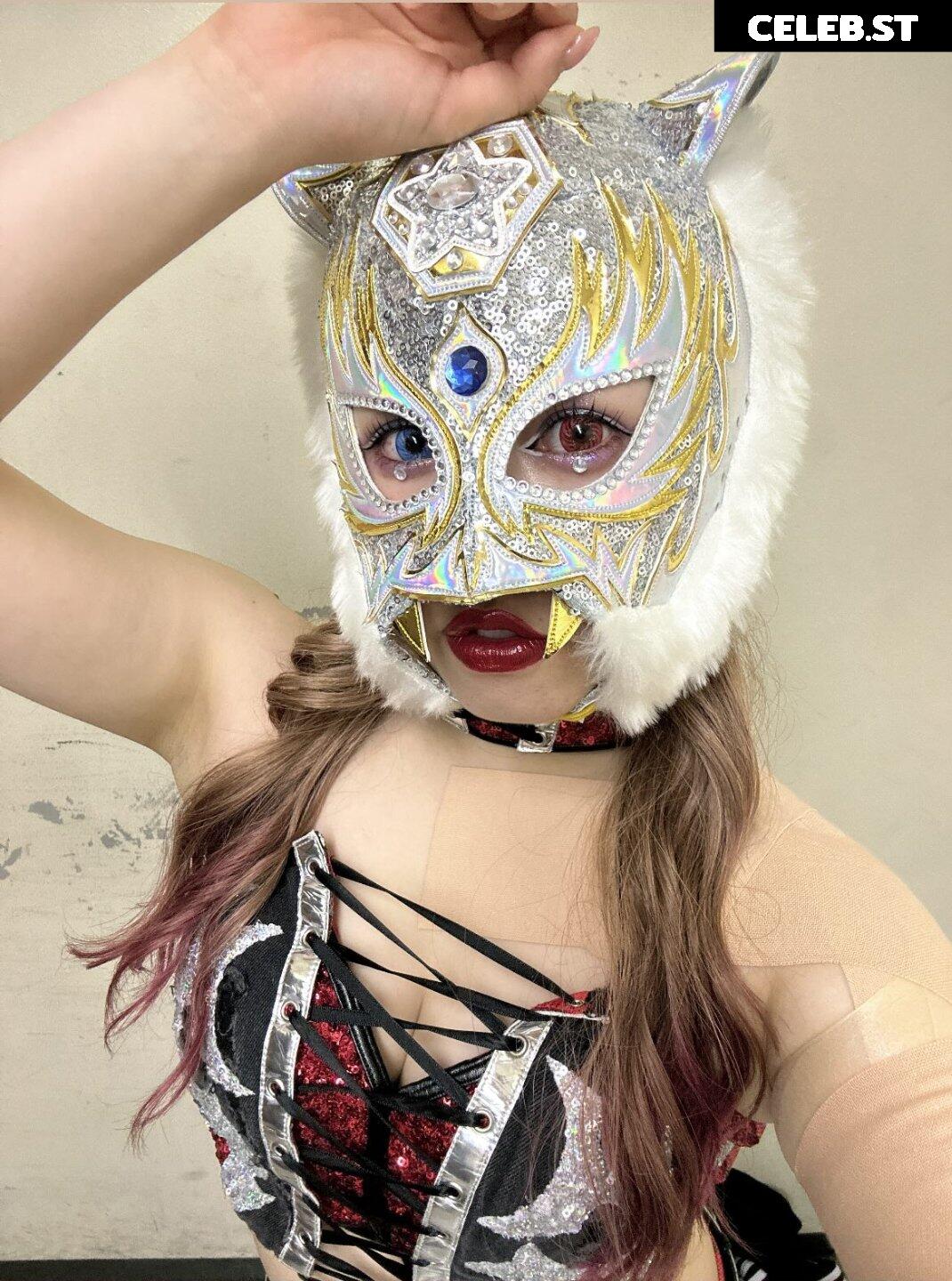 Women of Joshi Puroresu Image 10147341