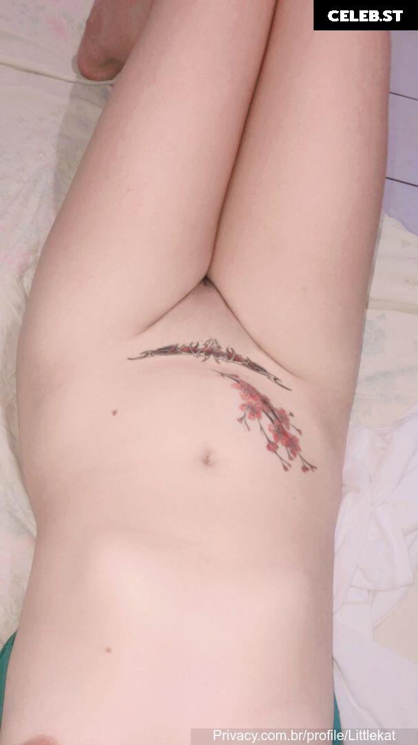 Littlekat Image 10127025