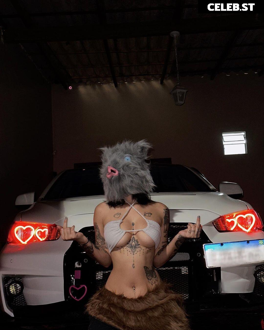 Yasmim Cat Image 10127030