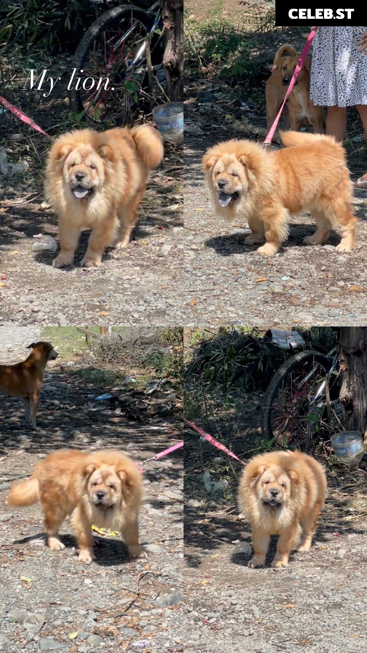 Akari_Cos Image 10138546