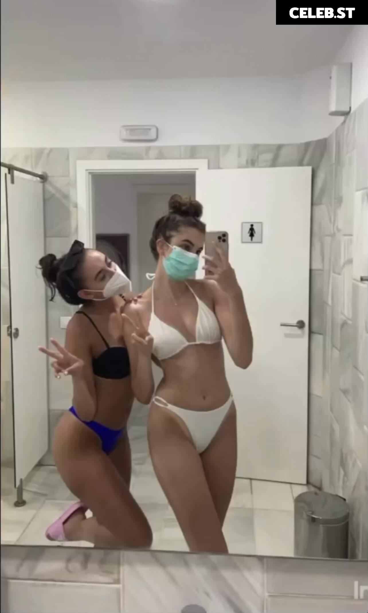 Yonca Image 1010344