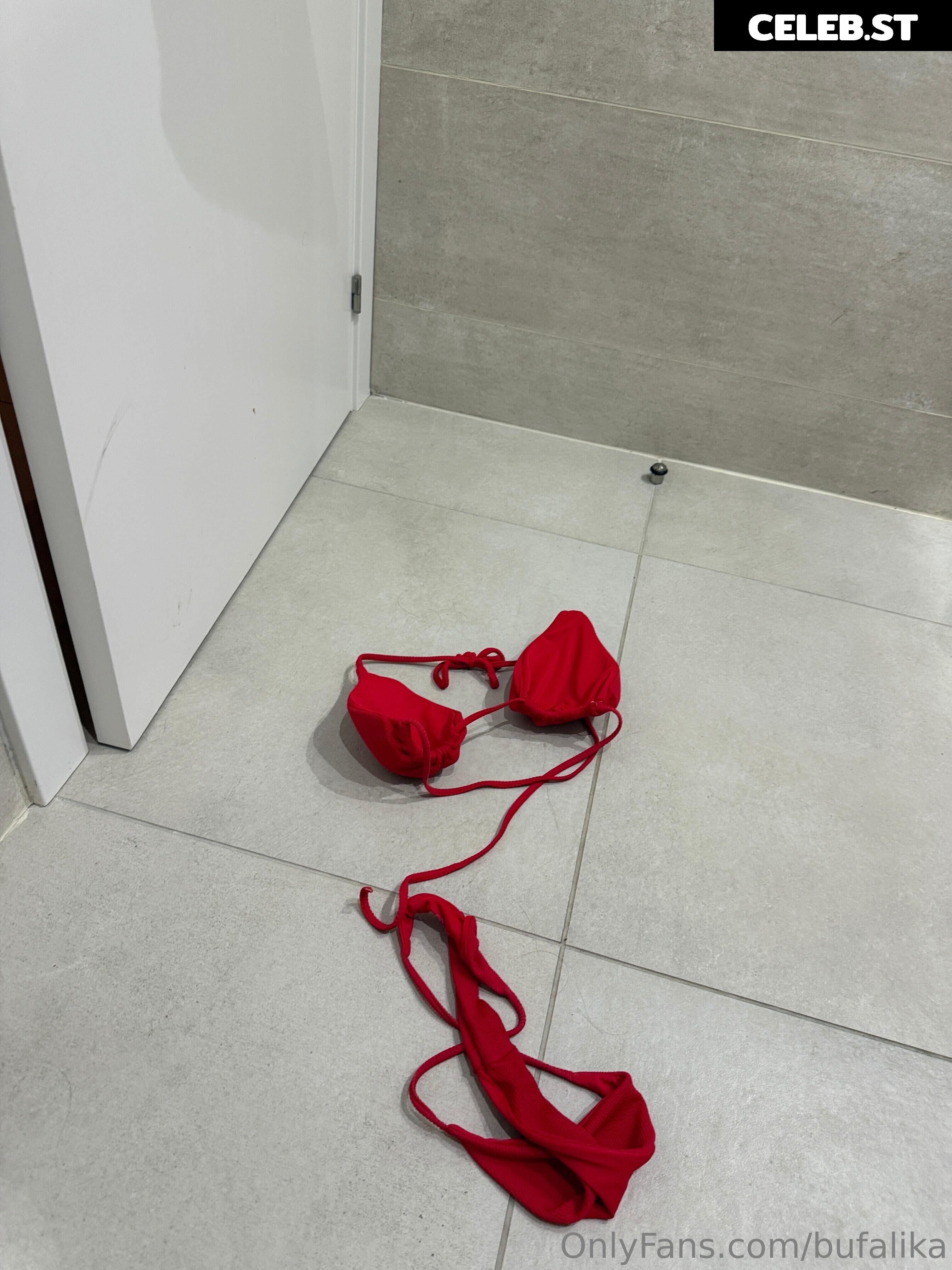 Ika D&#039;Auria | bufalika Image 10076070